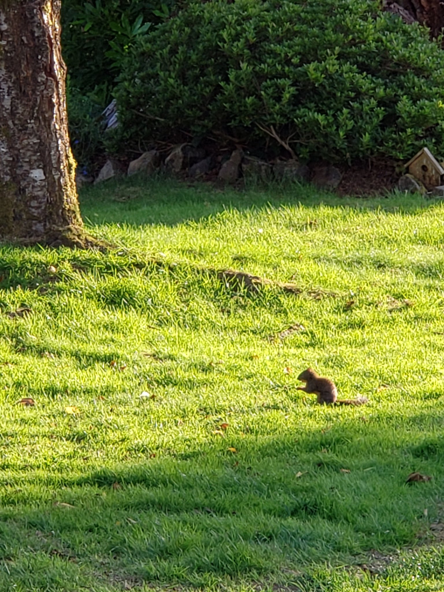 20200704_193842.jpg