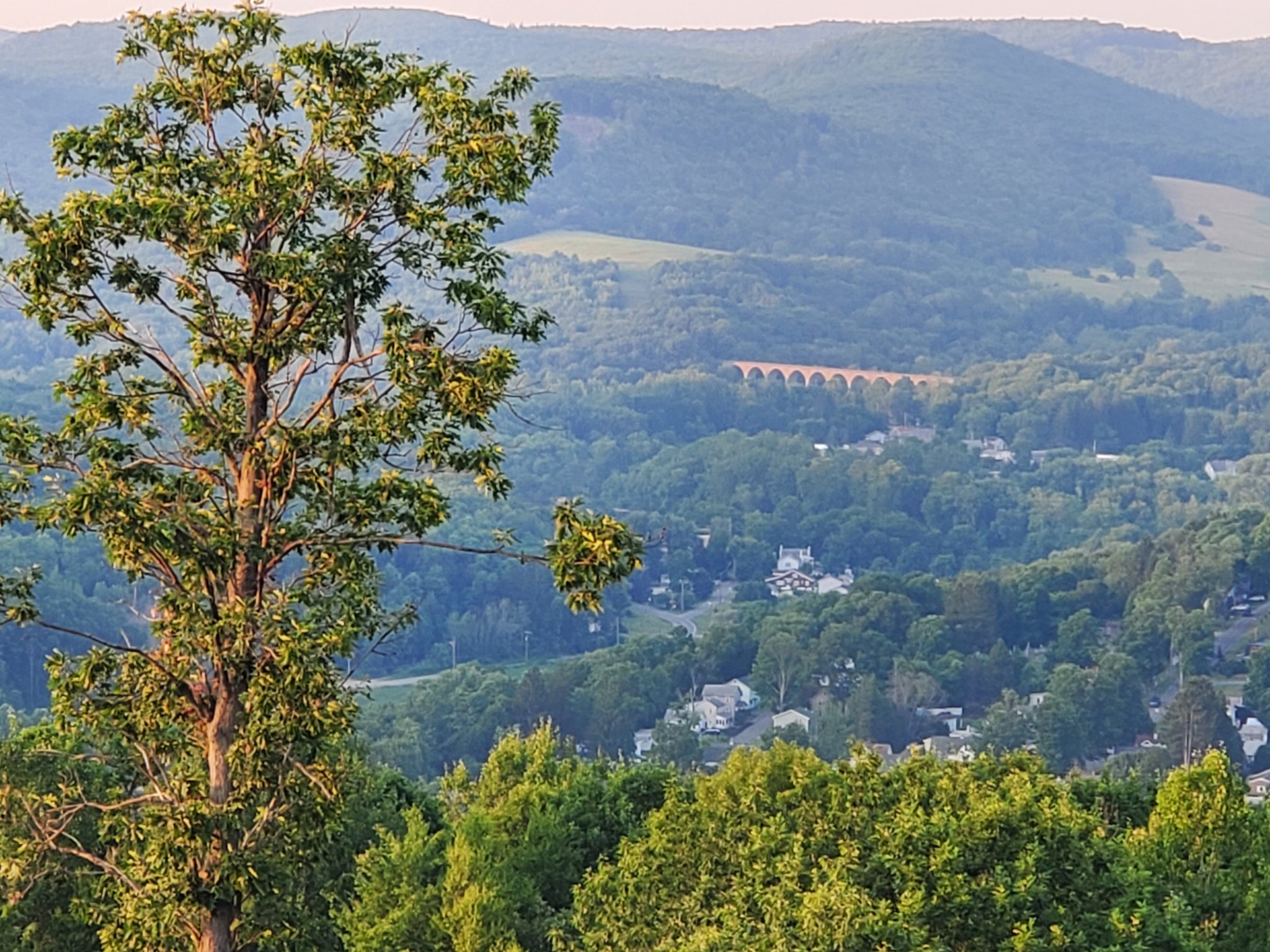 20200707_195527.jpg