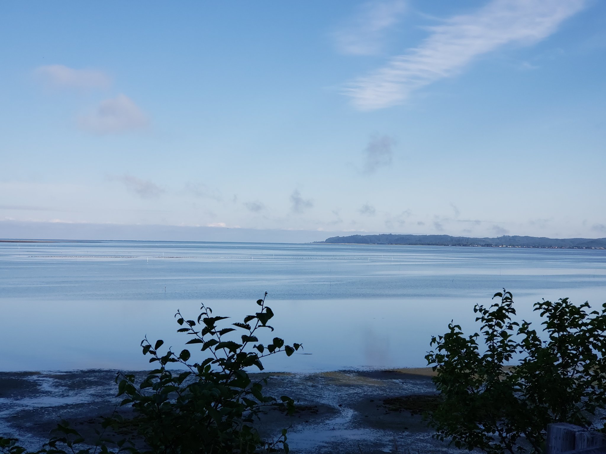 20200713_074230.jpg