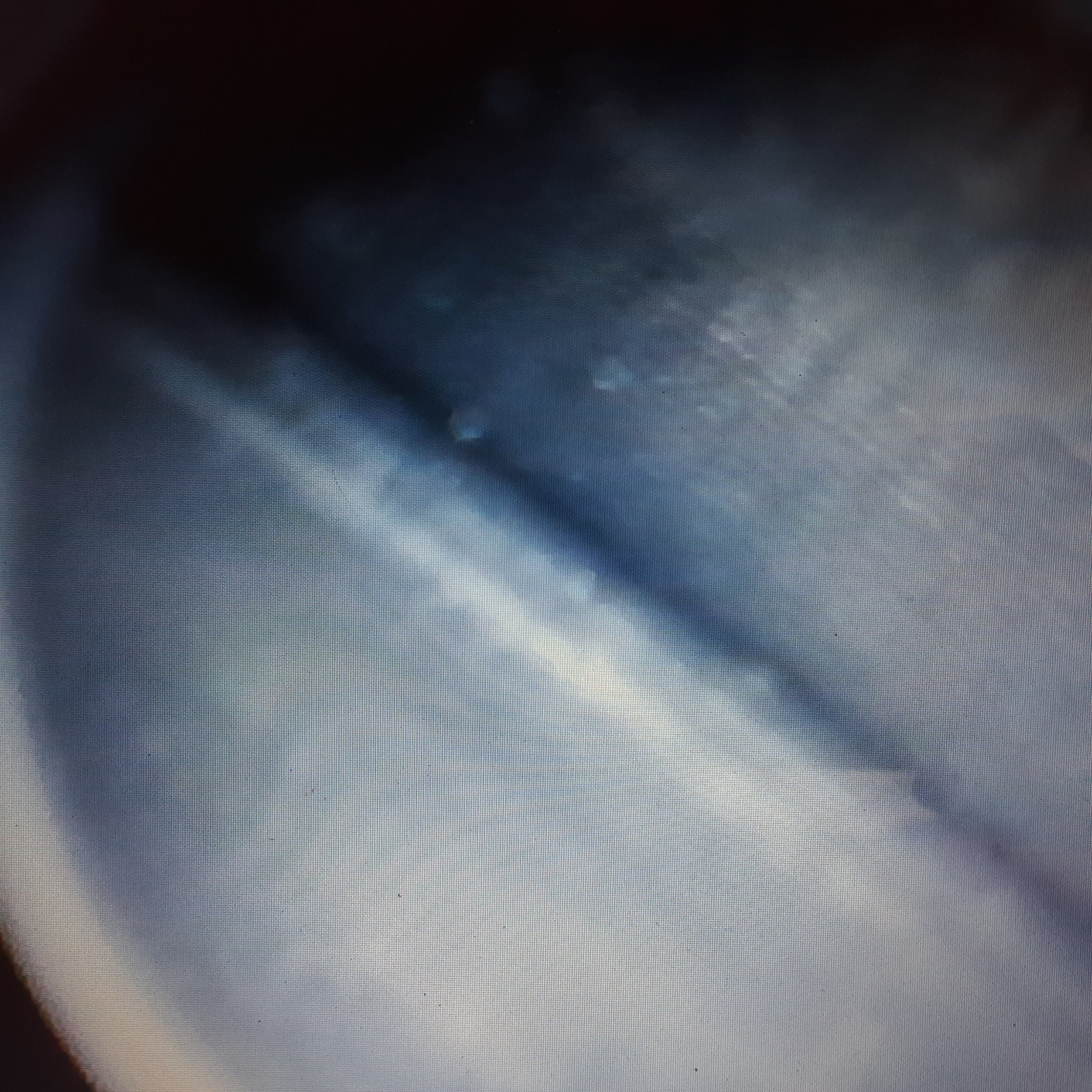 20200713_170653.jpg