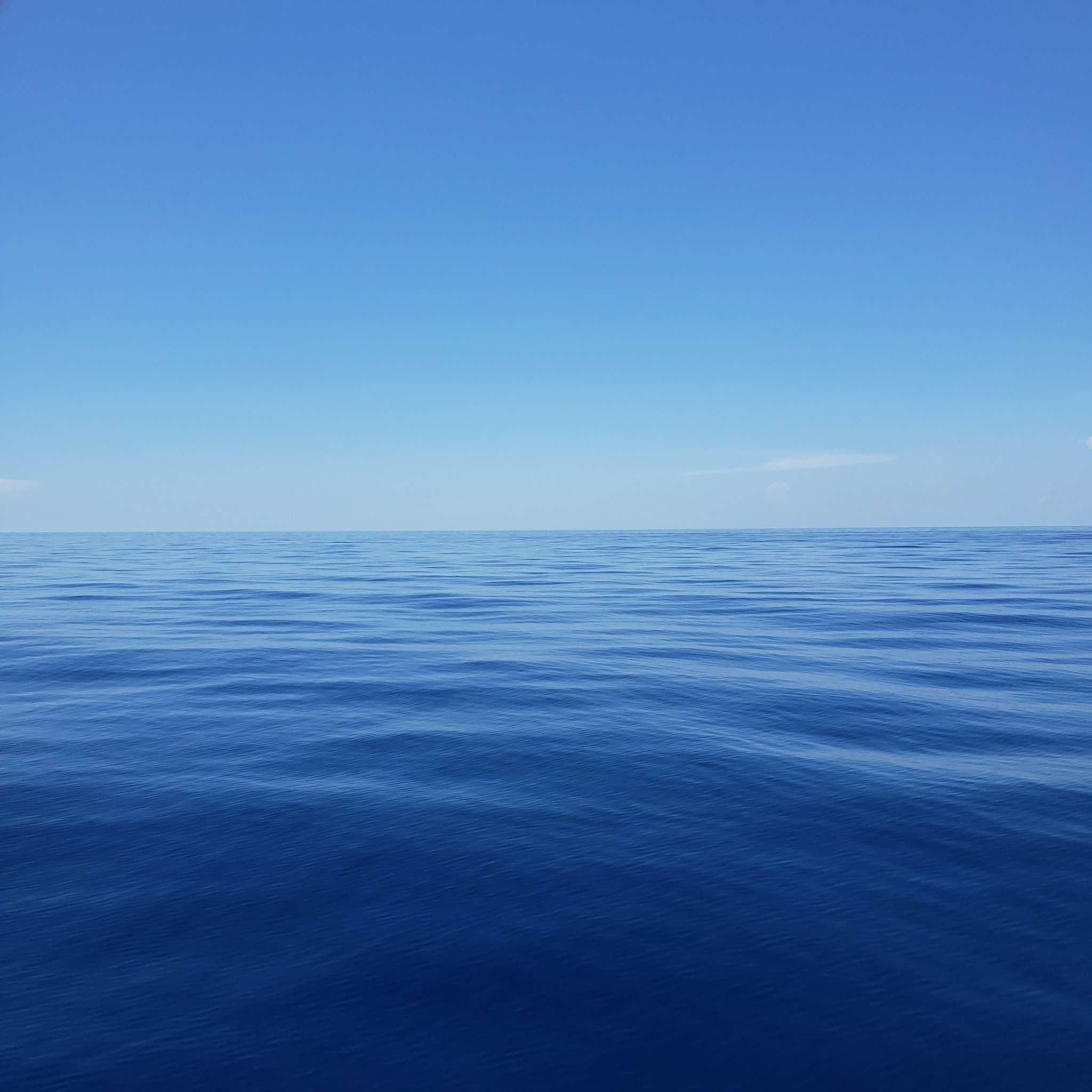 20200807_130855.jpg