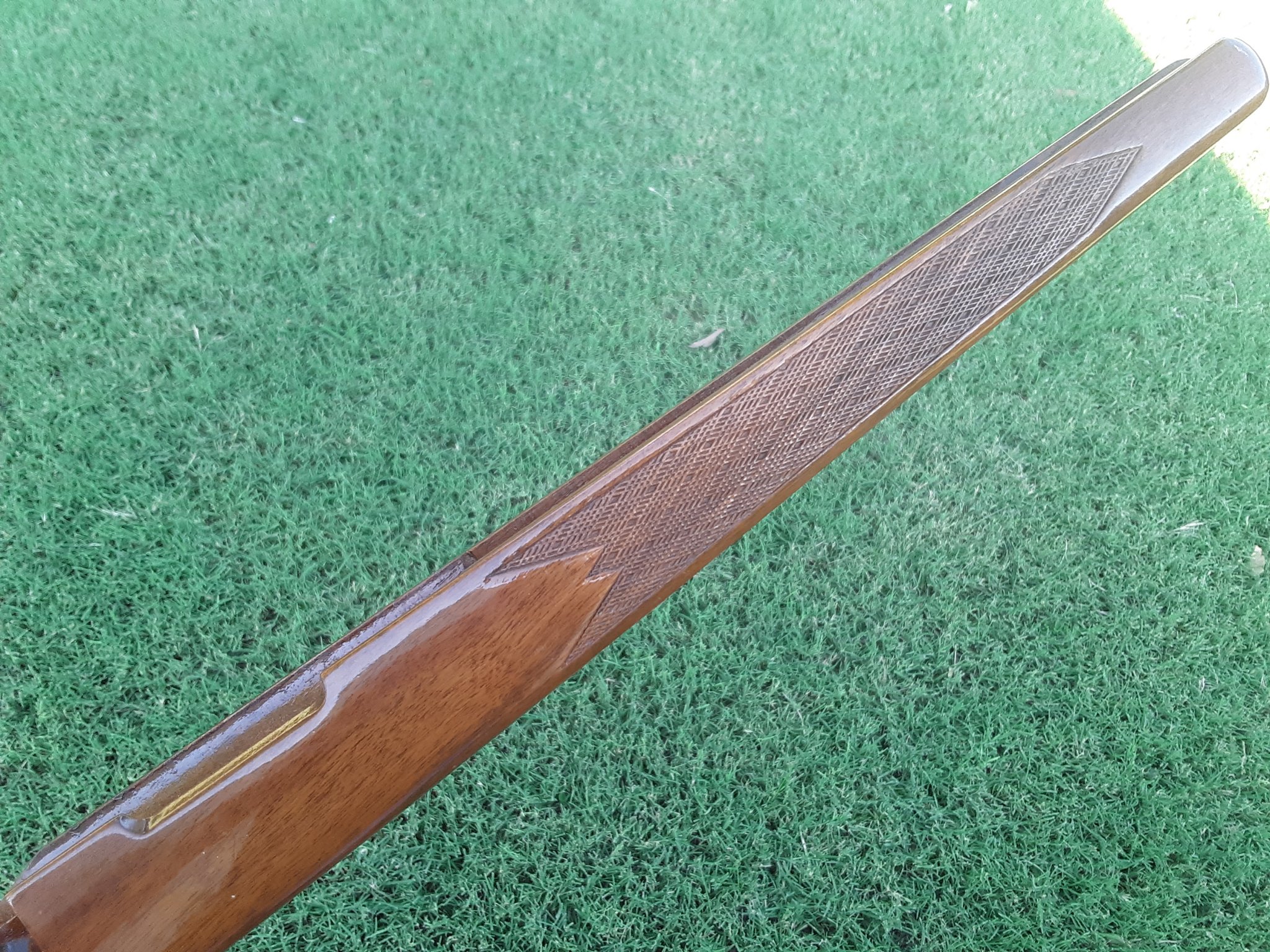20200813_184125.jpg