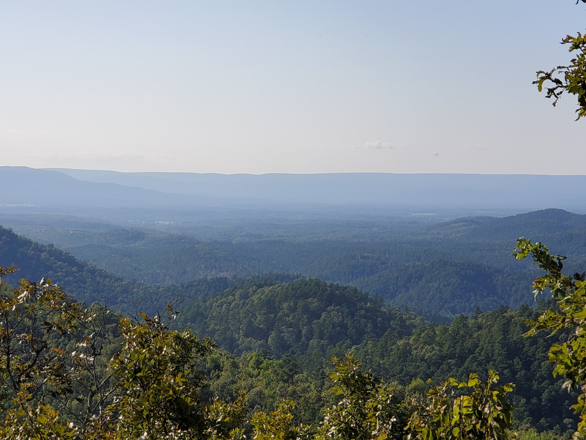 20200814_175943.jpg