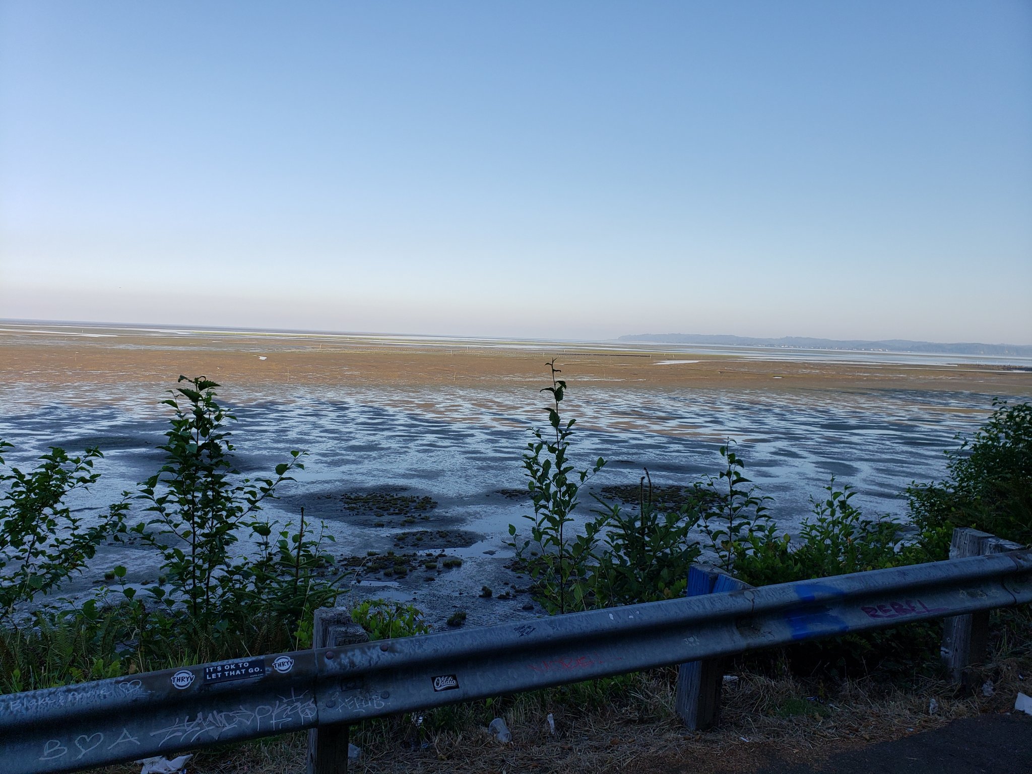20200816_074715.jpg