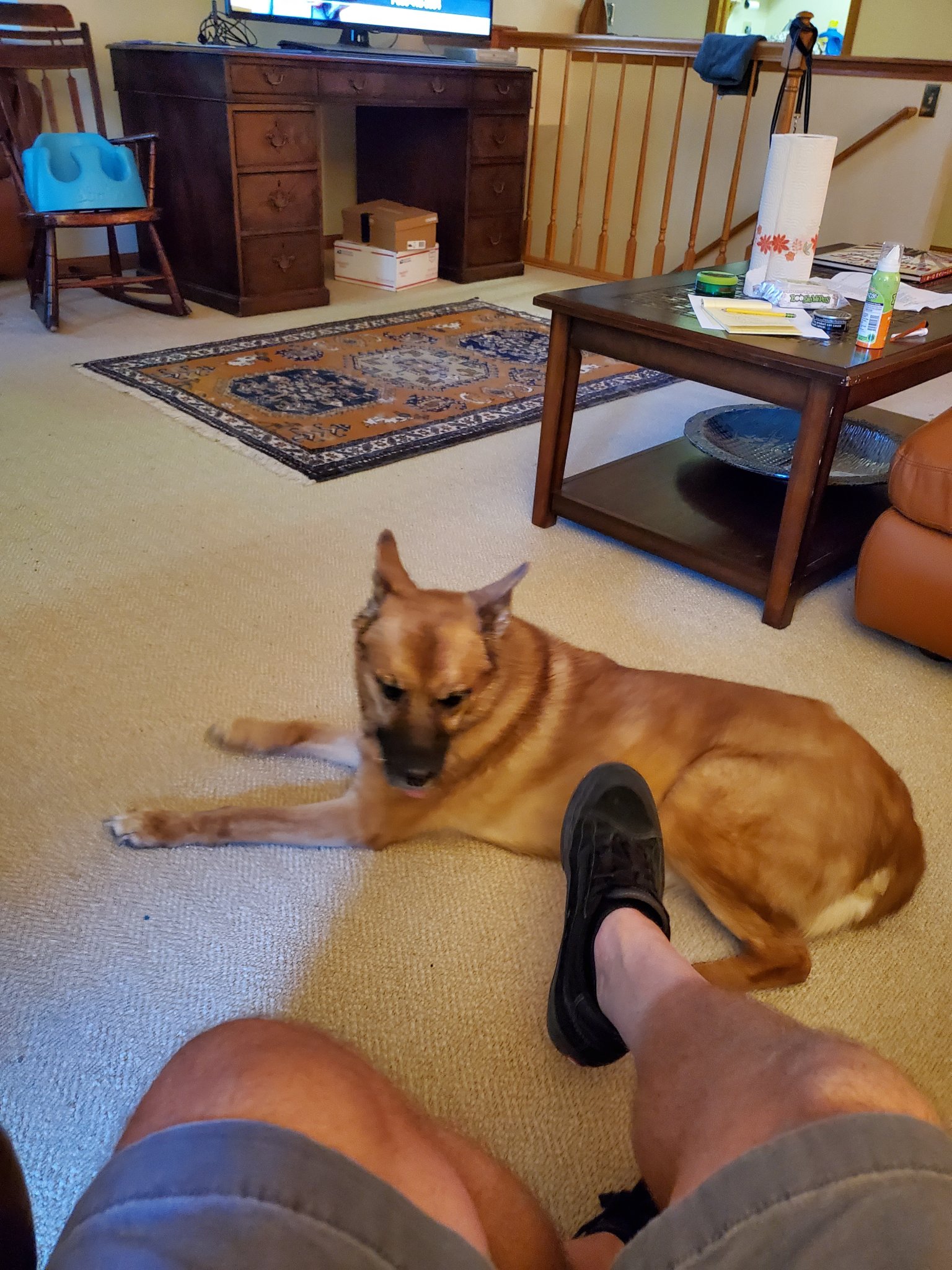 20200816_175656.jpg