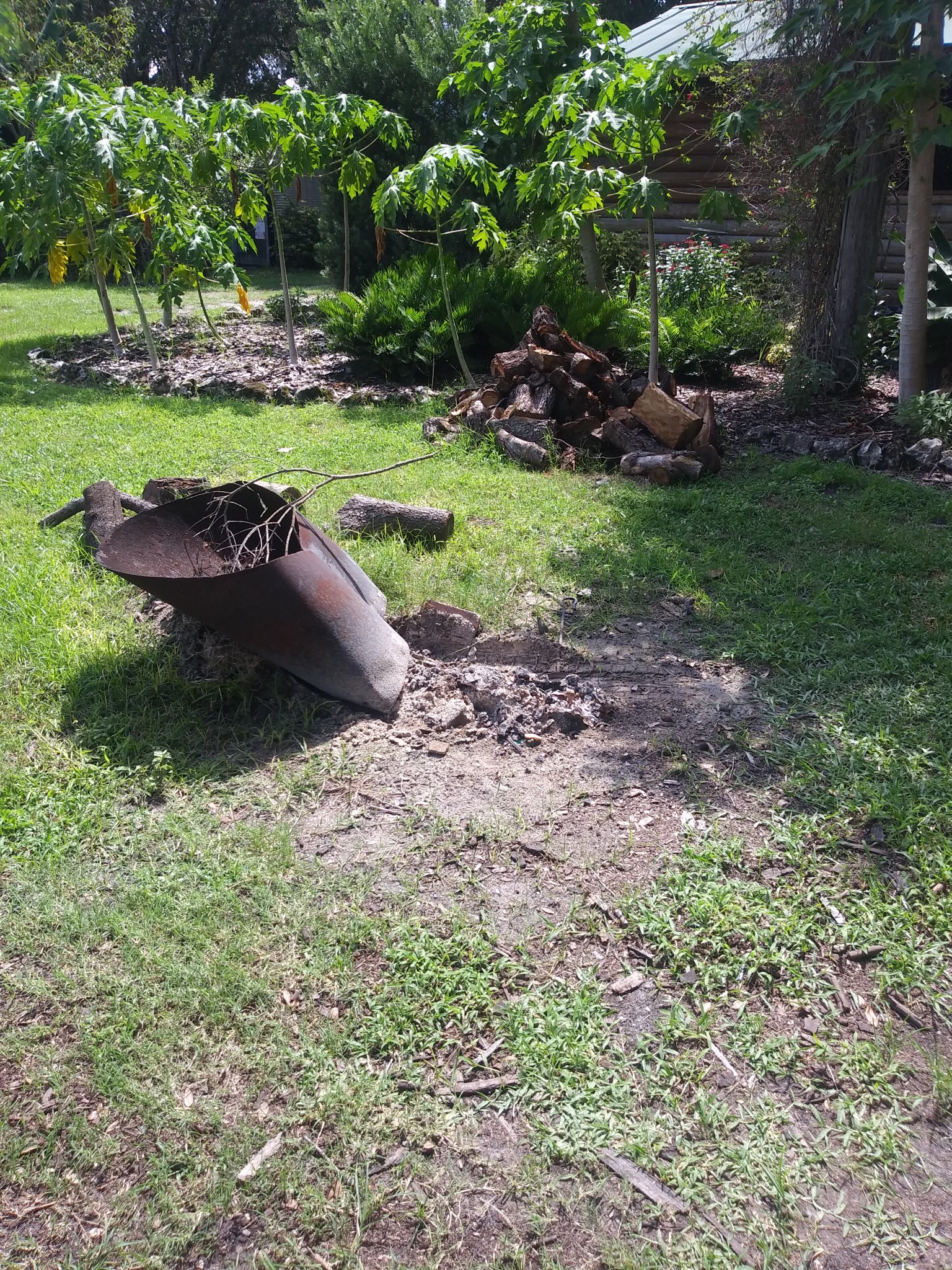 20200820_153929.jpg