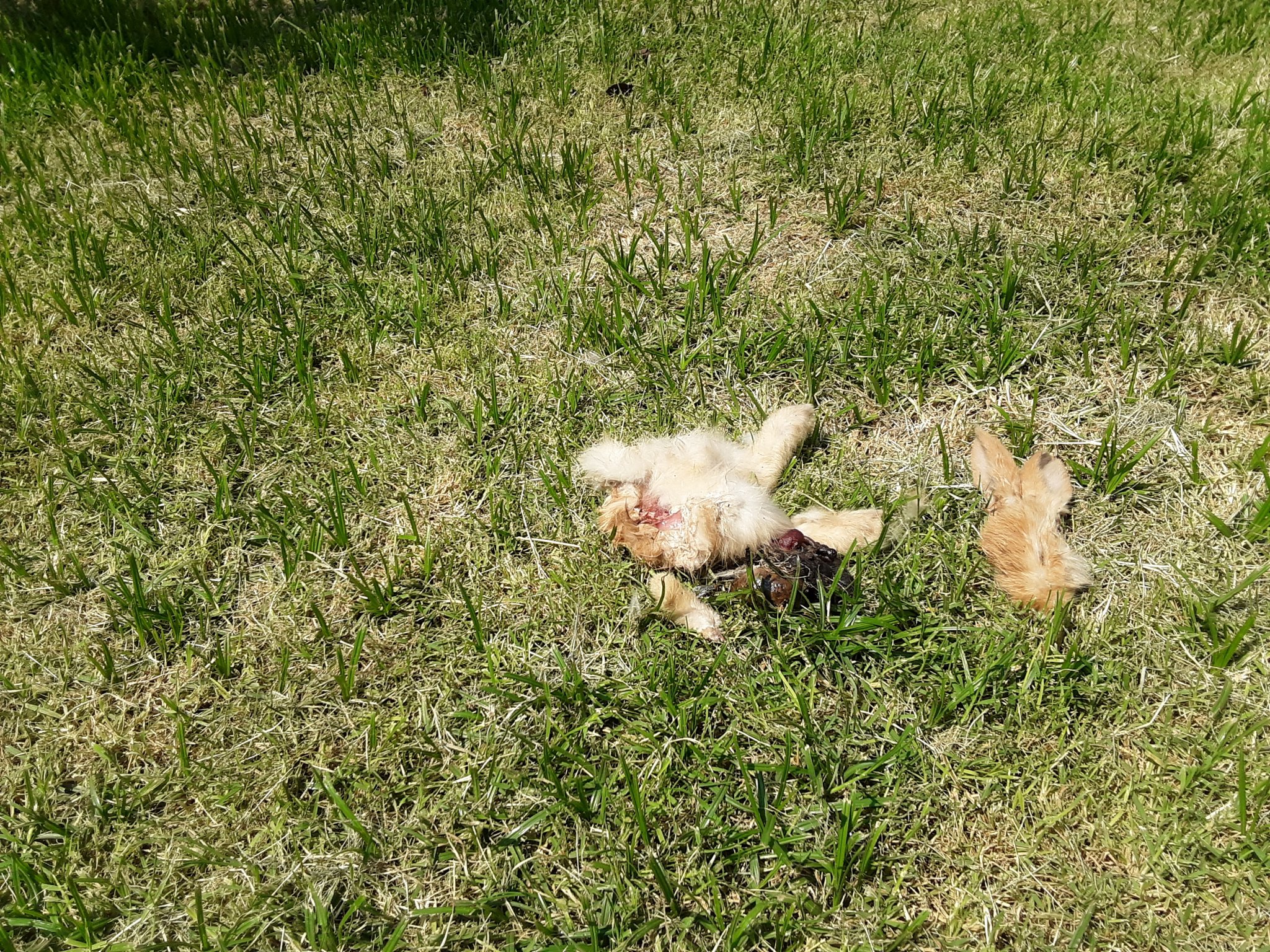 20200826_134204.jpg