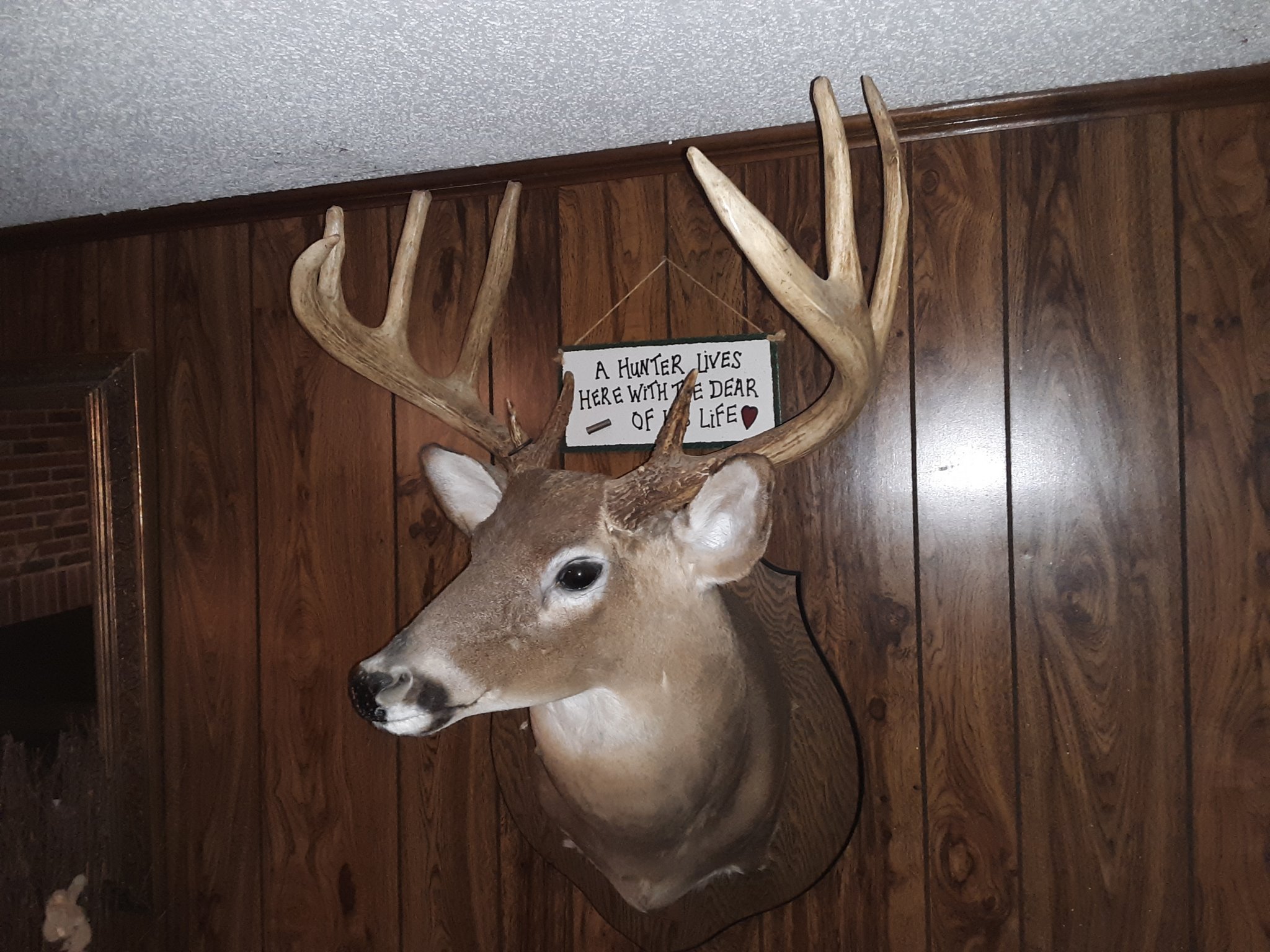 20200827_223026.jpg