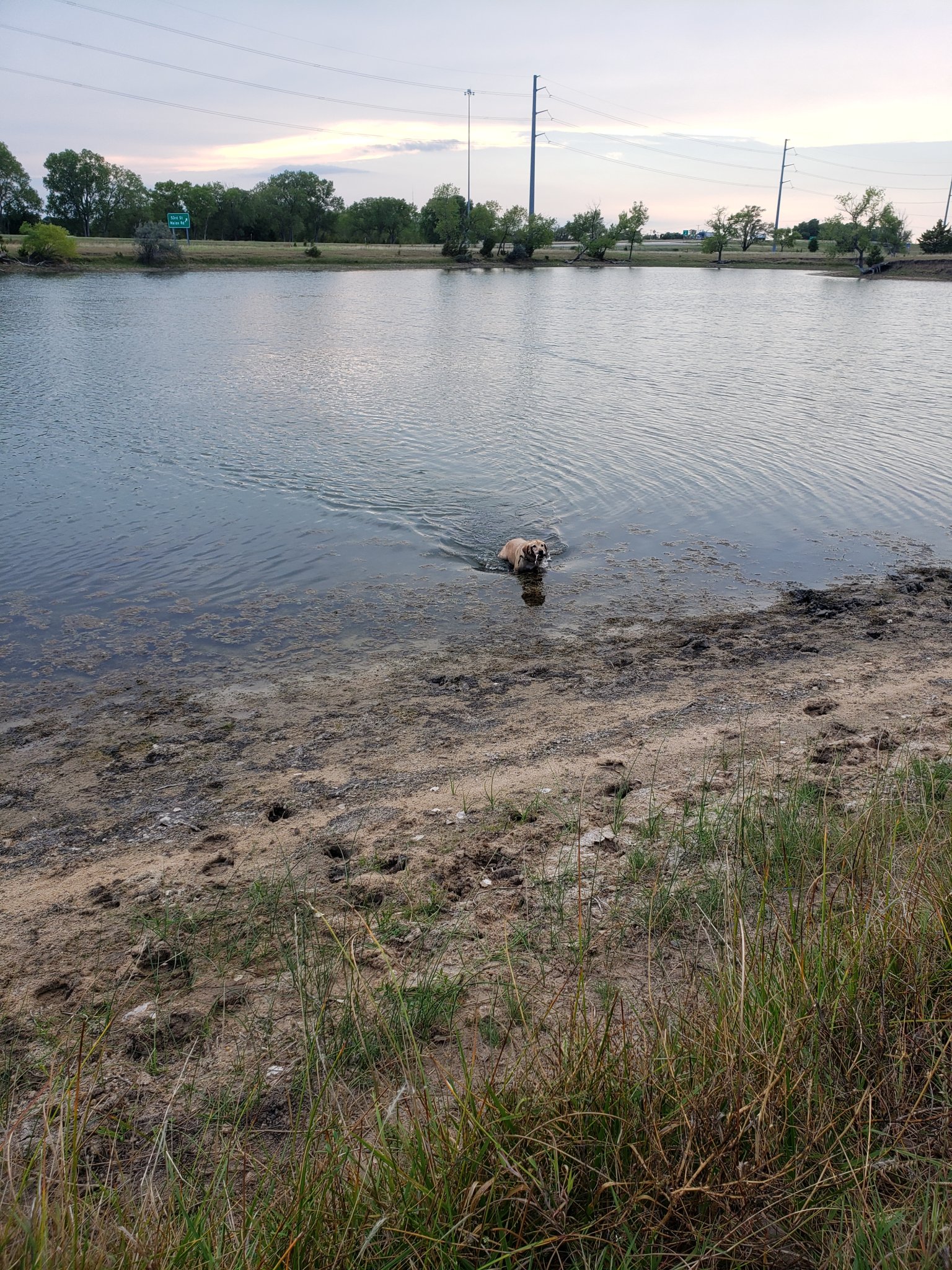 20200901_184936.jpg
