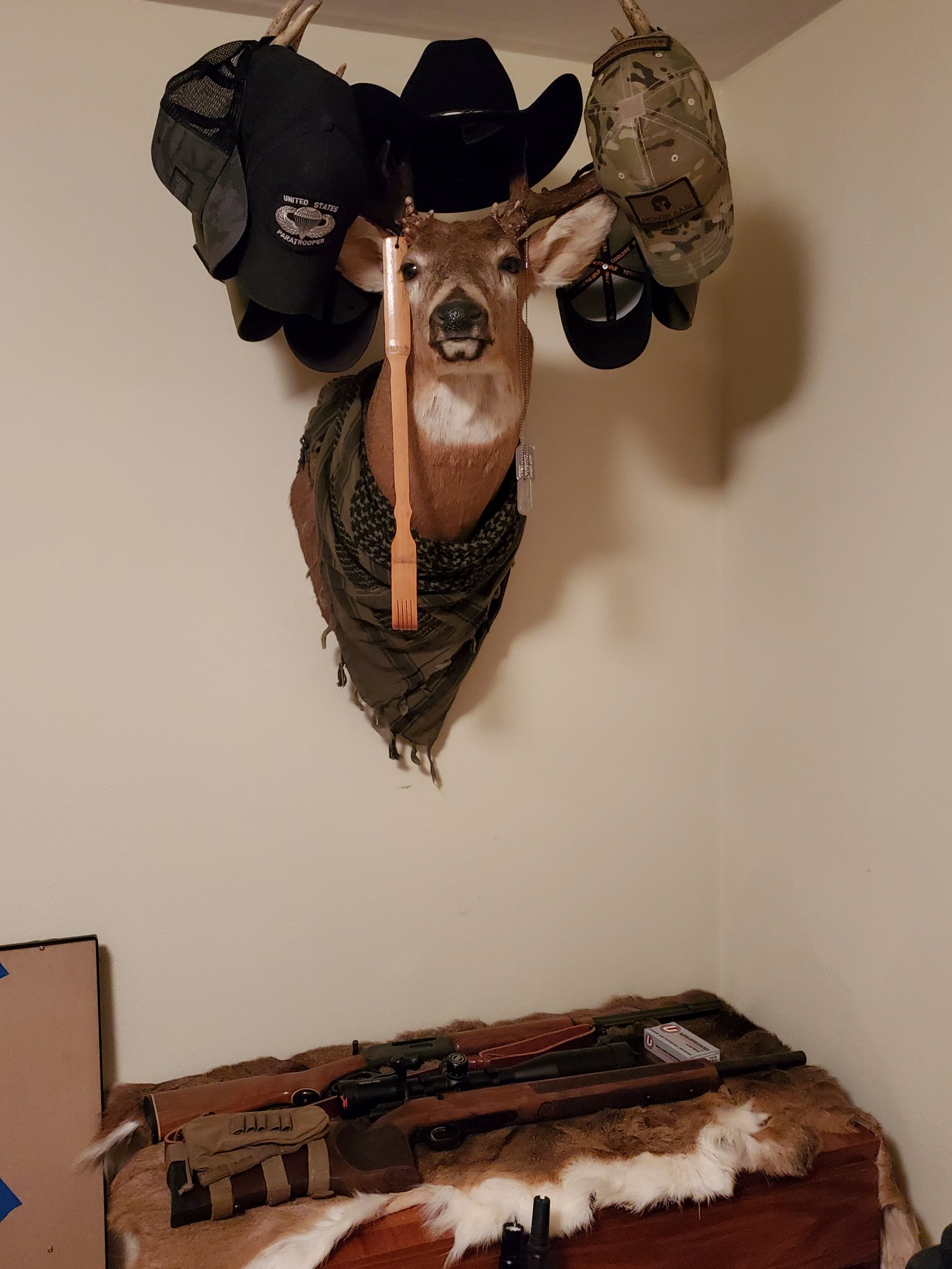20200903_211852.jpg