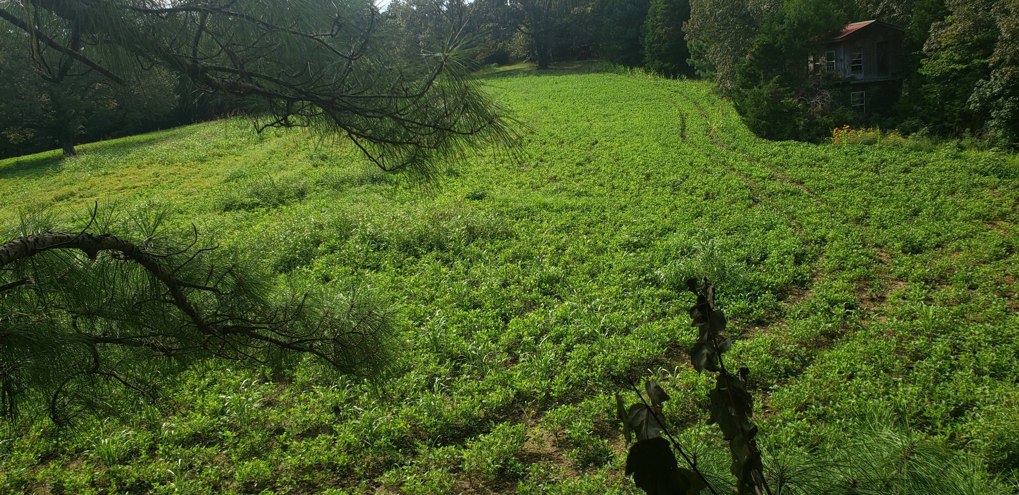 20200906_154047.jpg