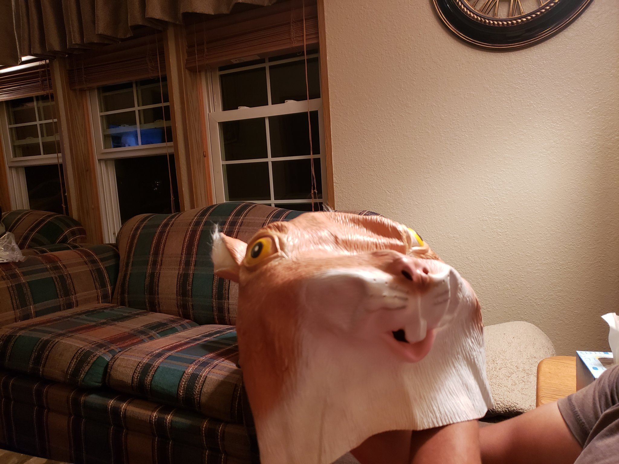 20200908_211520.jpg