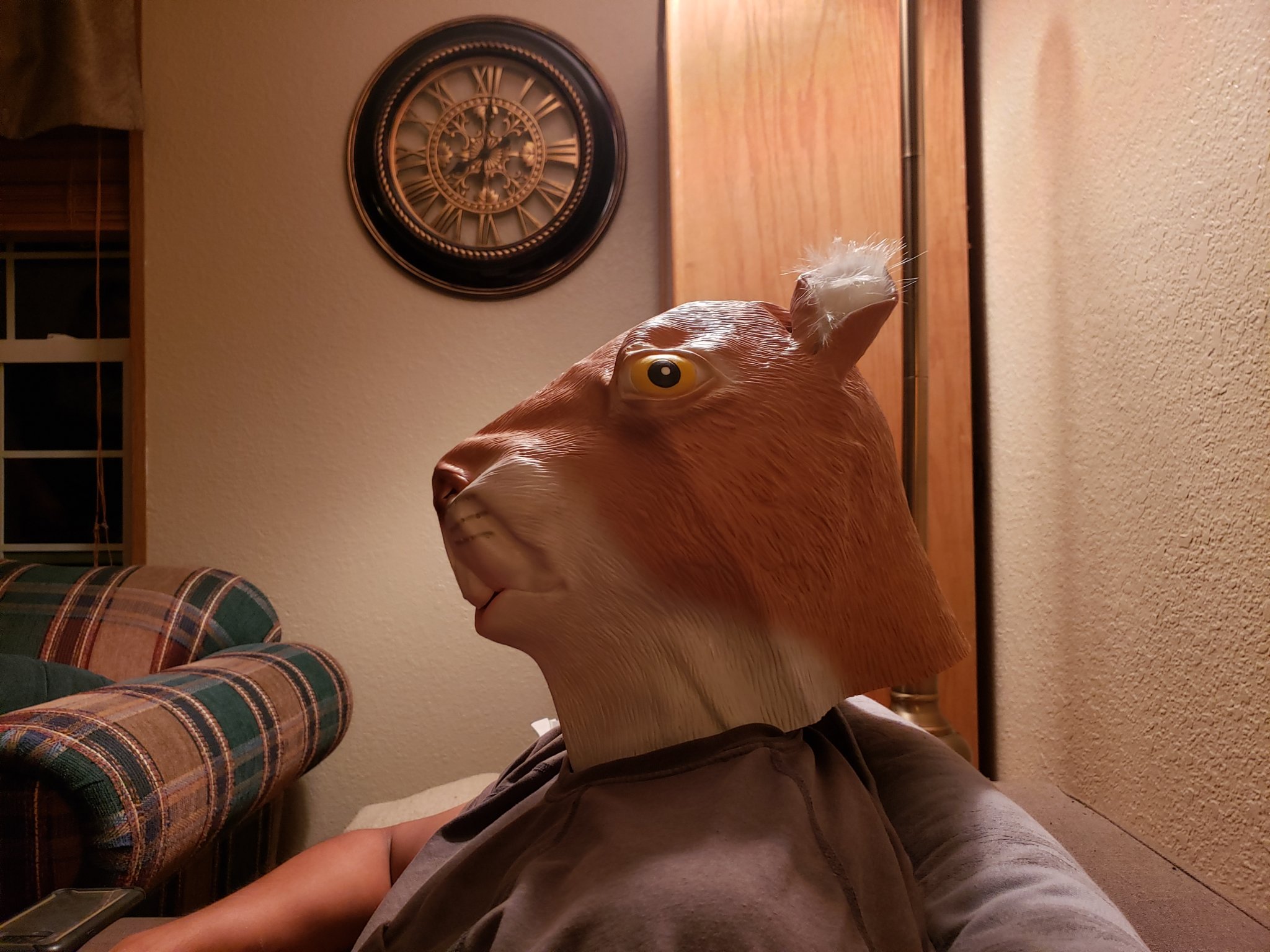 20200908_211533.jpg