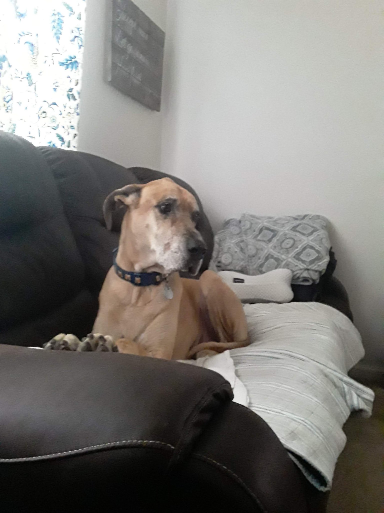 20200909_161253.jpg