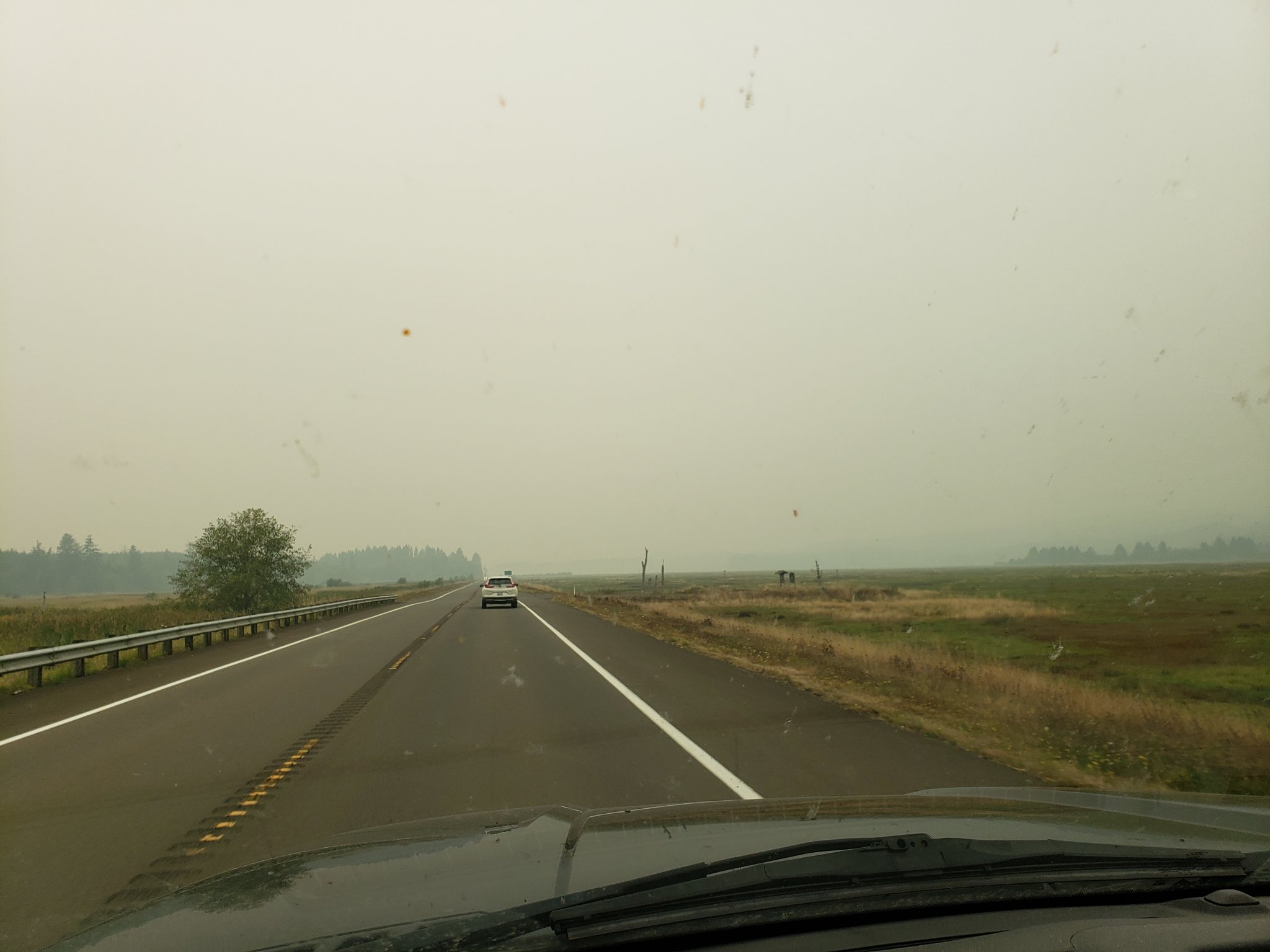 20200910_160158.jpg