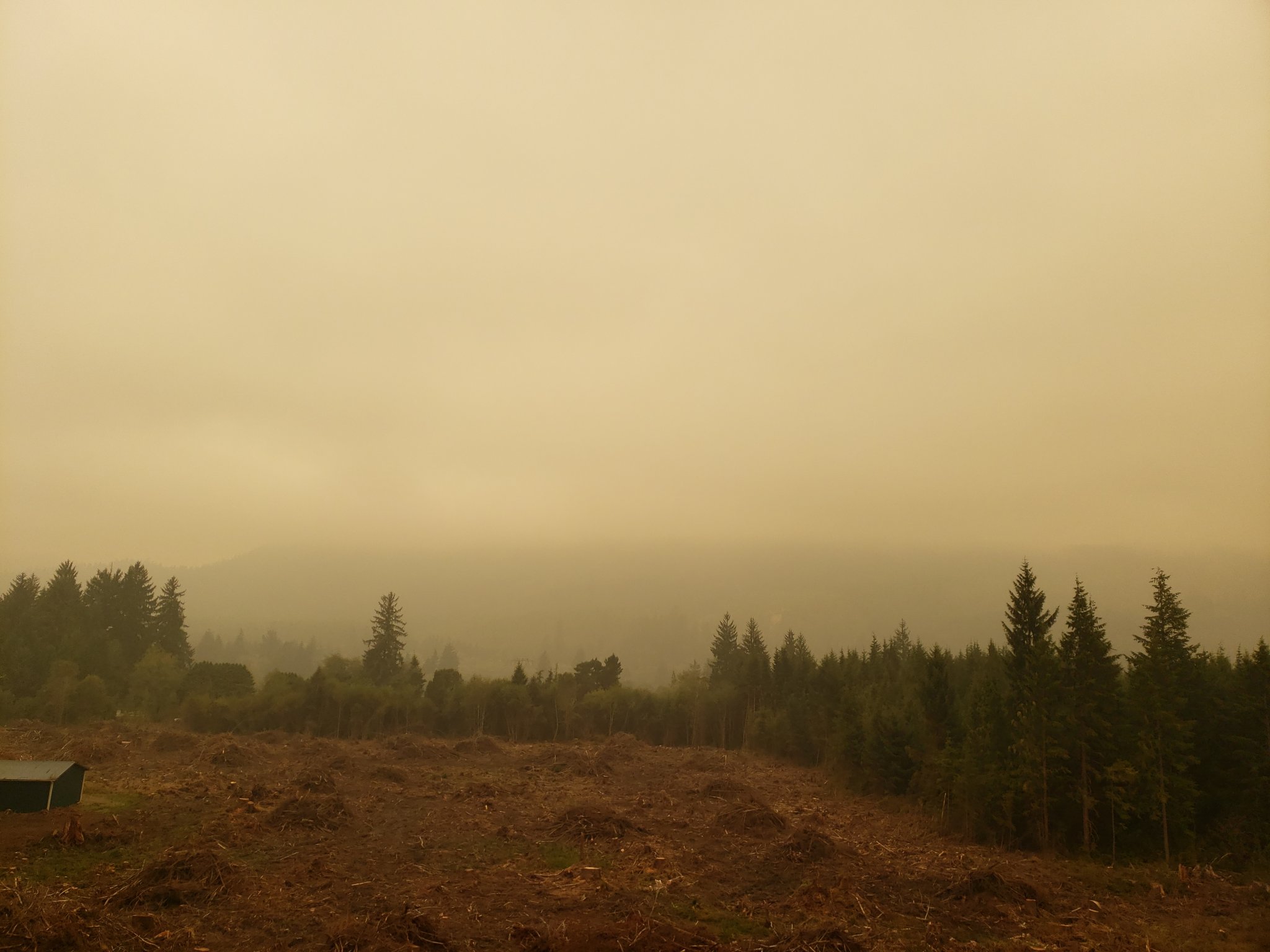 20200911_121818.jpg