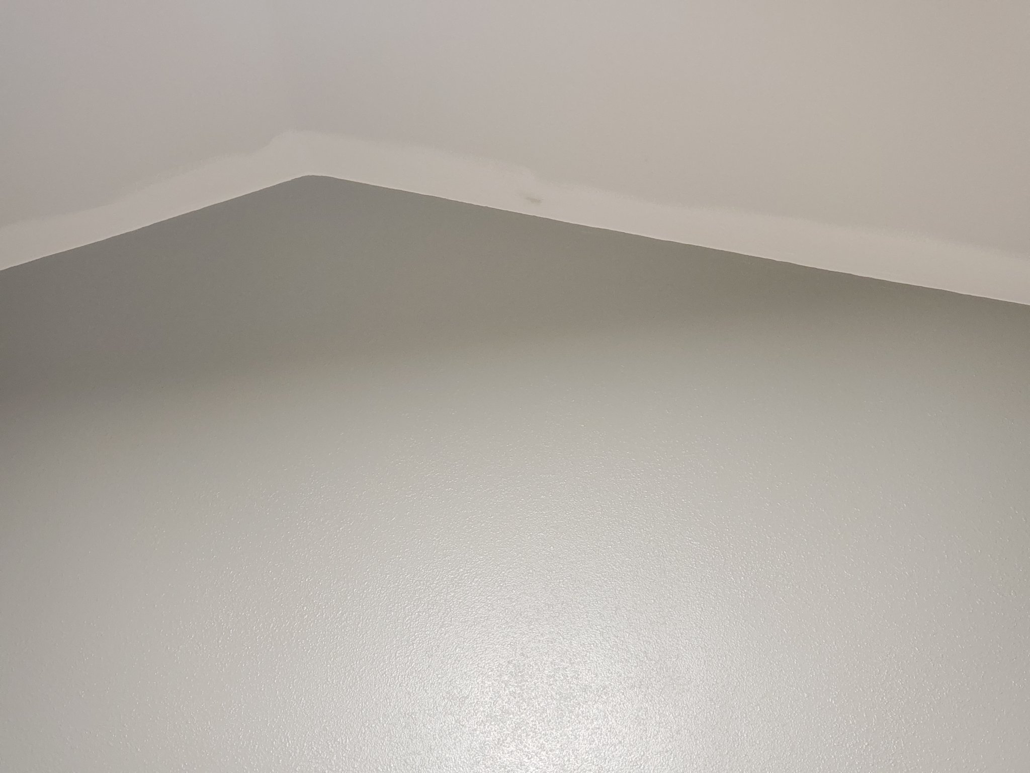 20200913_224845.jpg