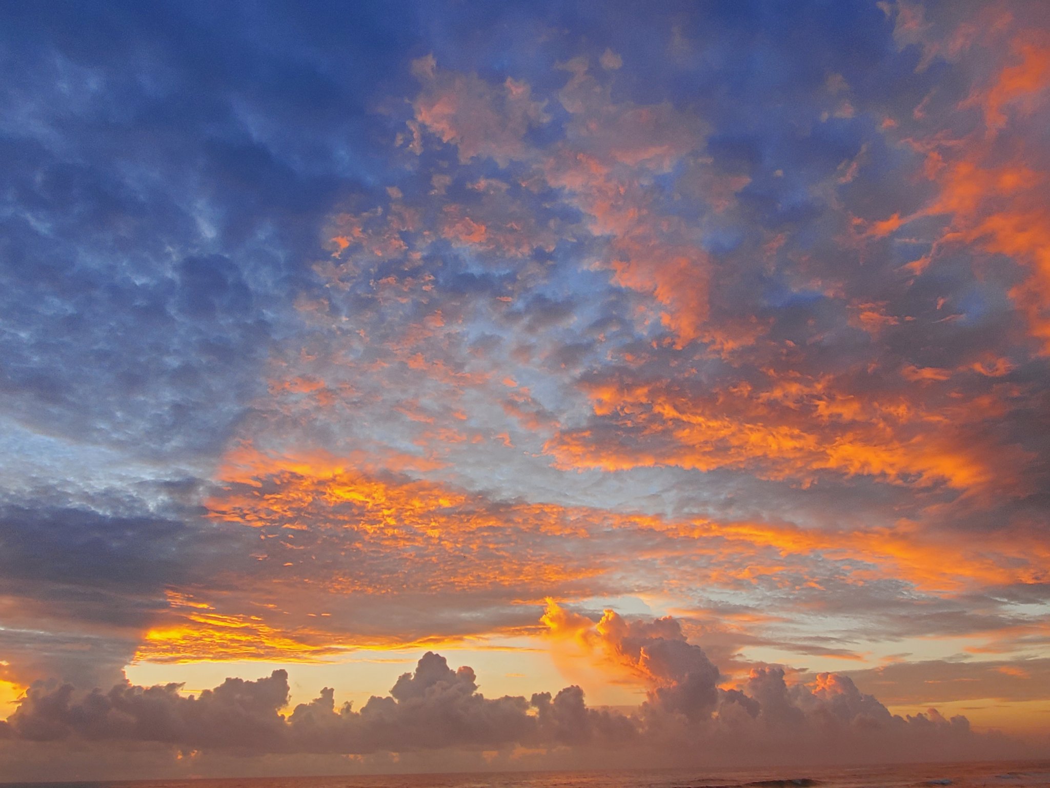 20200916_070922.jpg