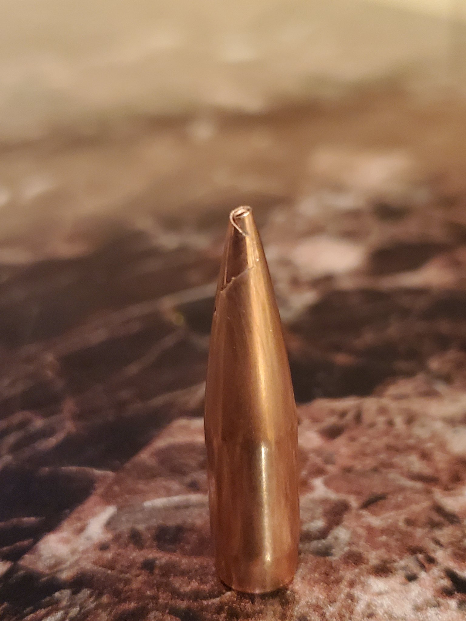 20200917_202723.jpg