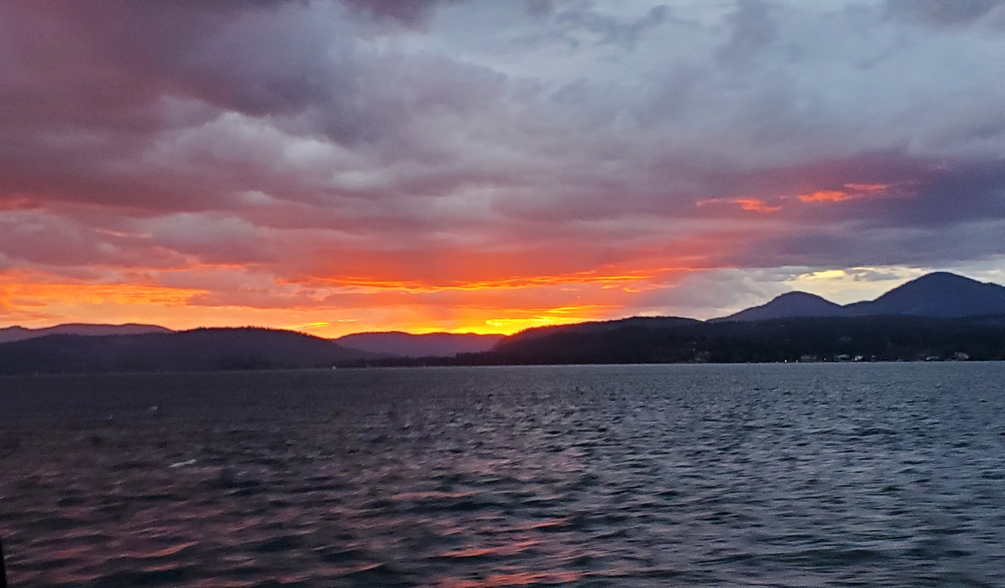 20200924_183821~2.jpg