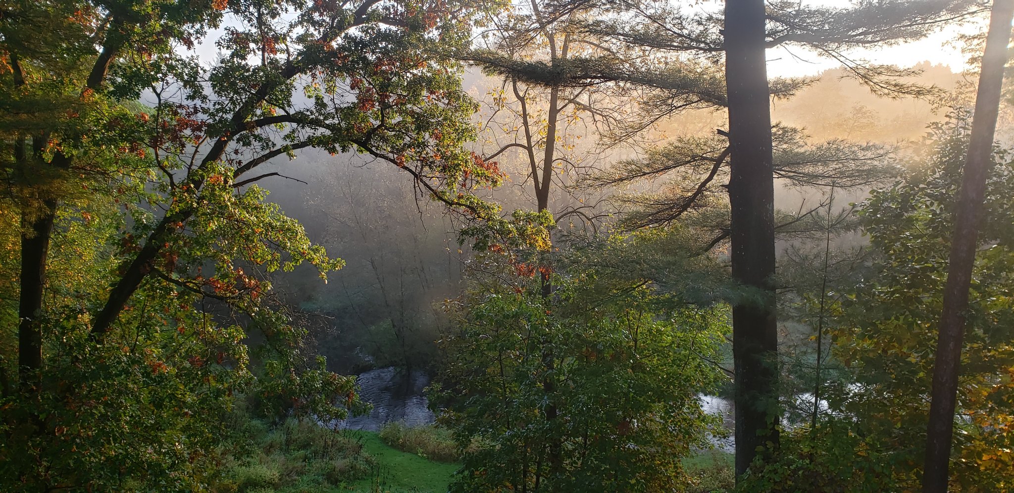 20200925_072415.jpg