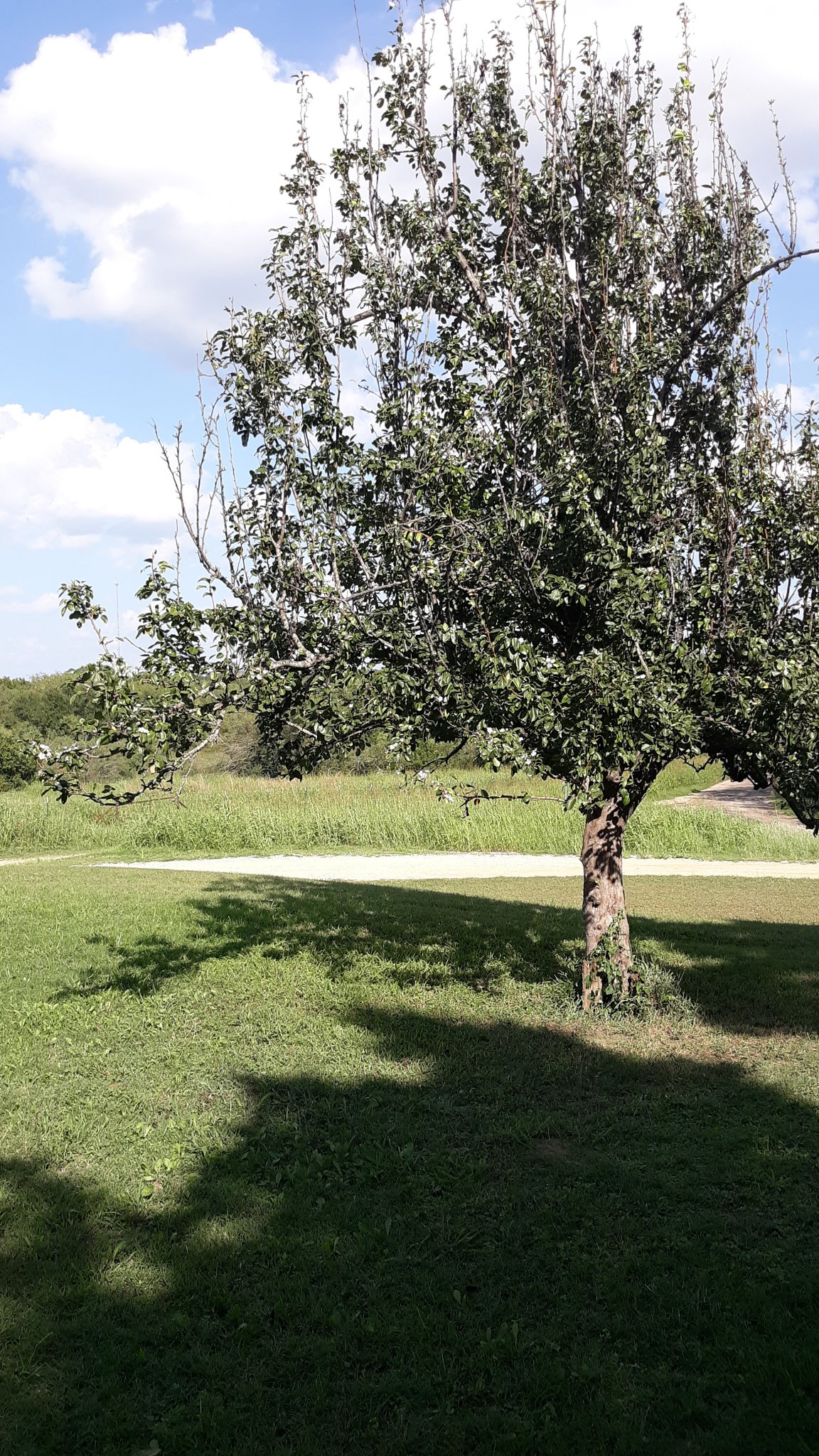 20200926_160451.jpg