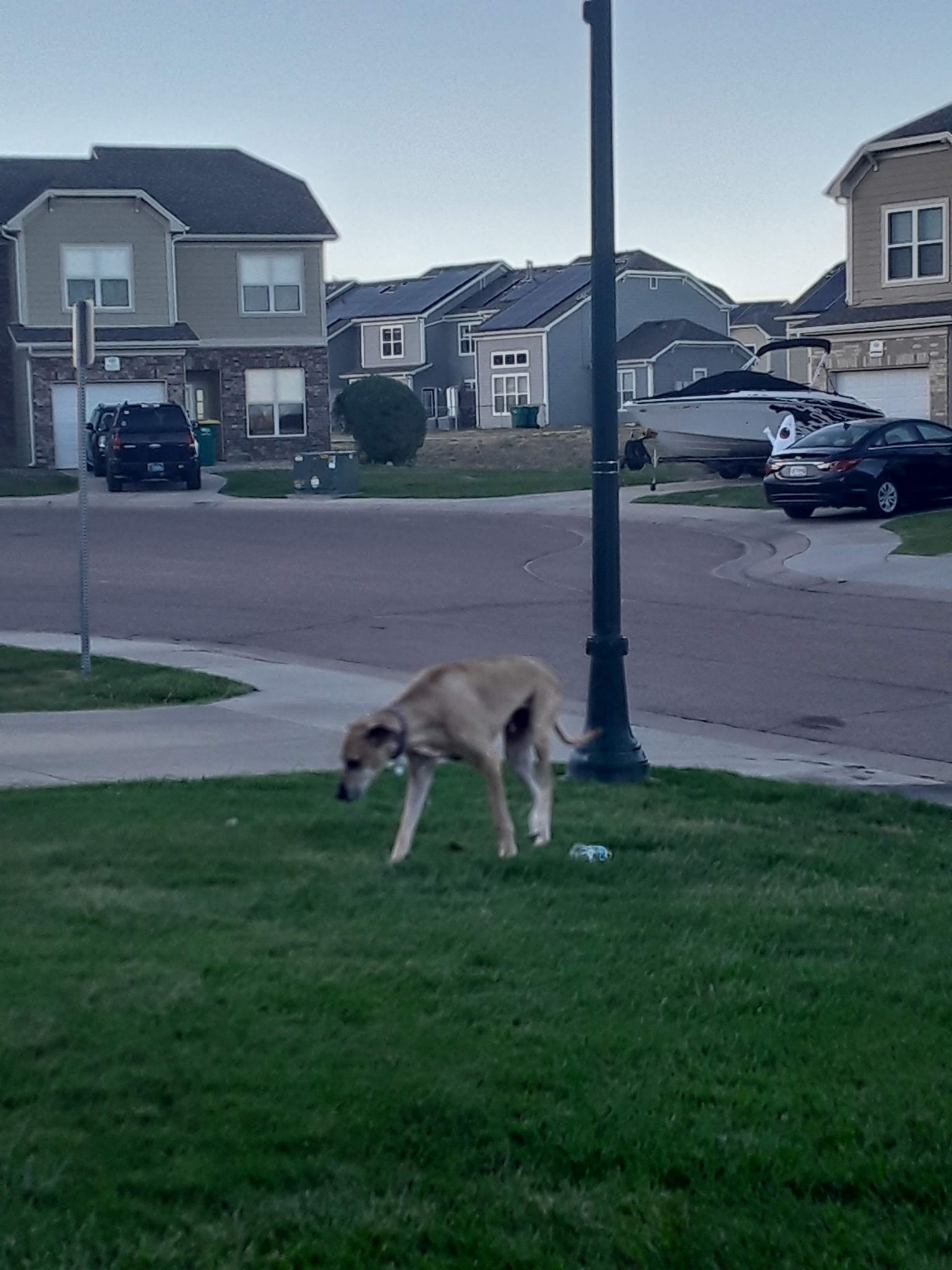 20200929_180713.jpg
