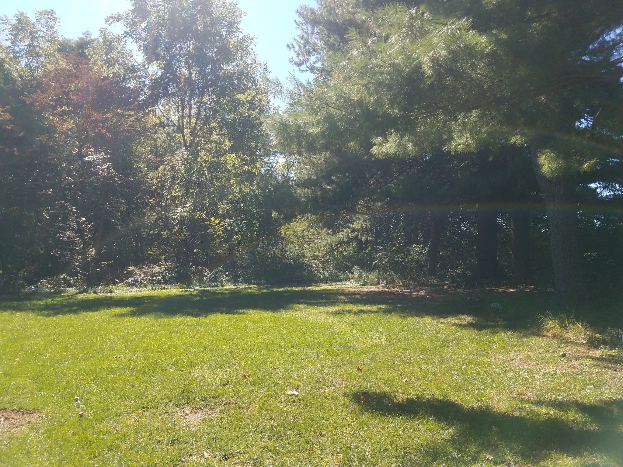 20200930_131738.jpg