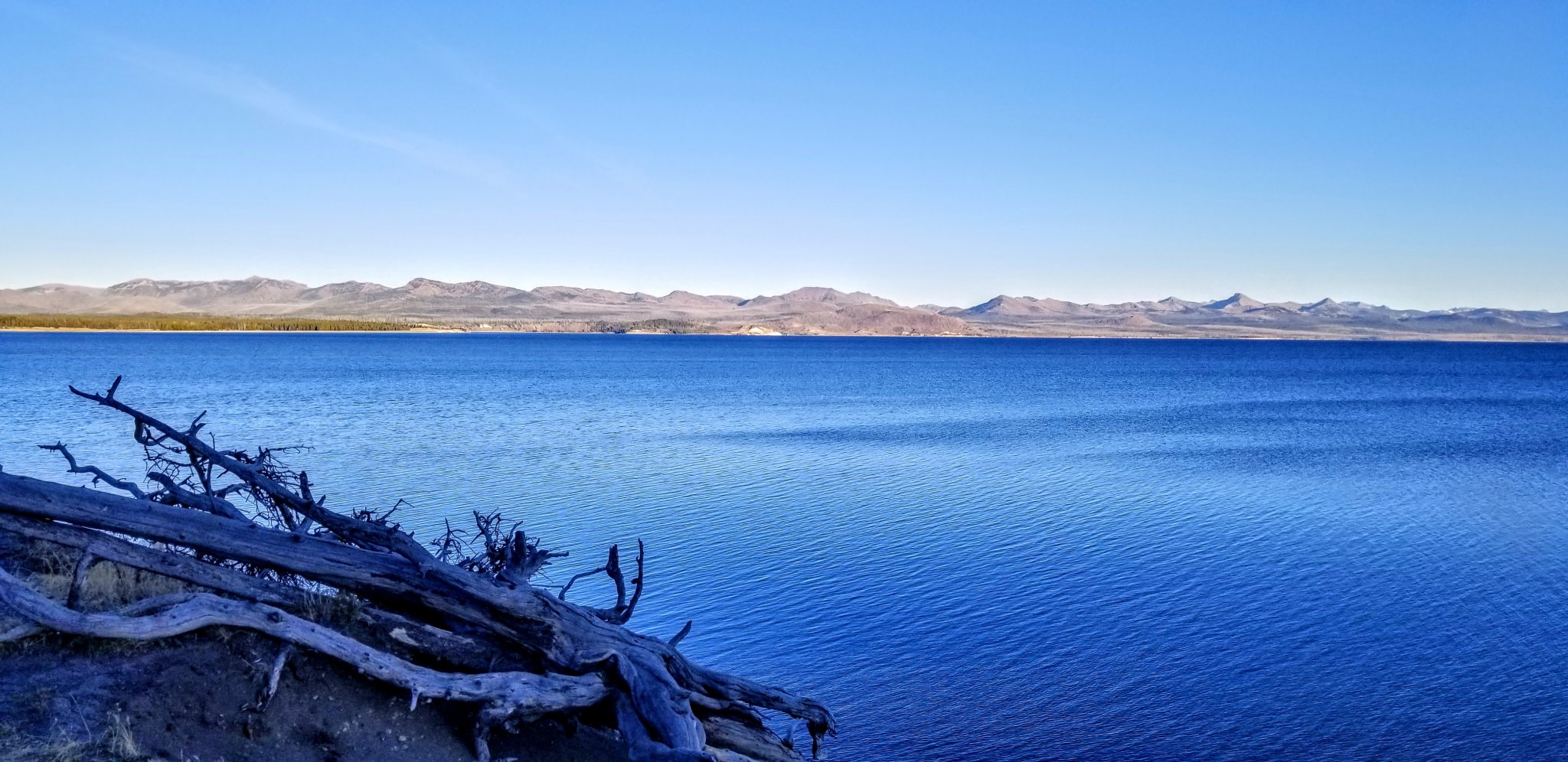 20200930_182045.jpg