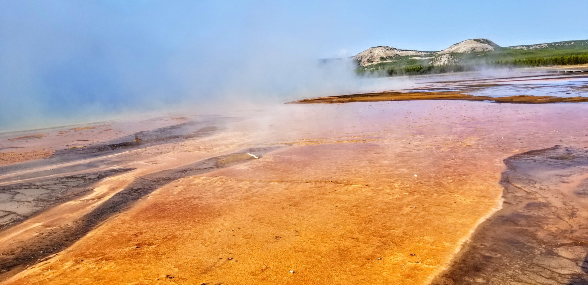 20201001_100716.jpg