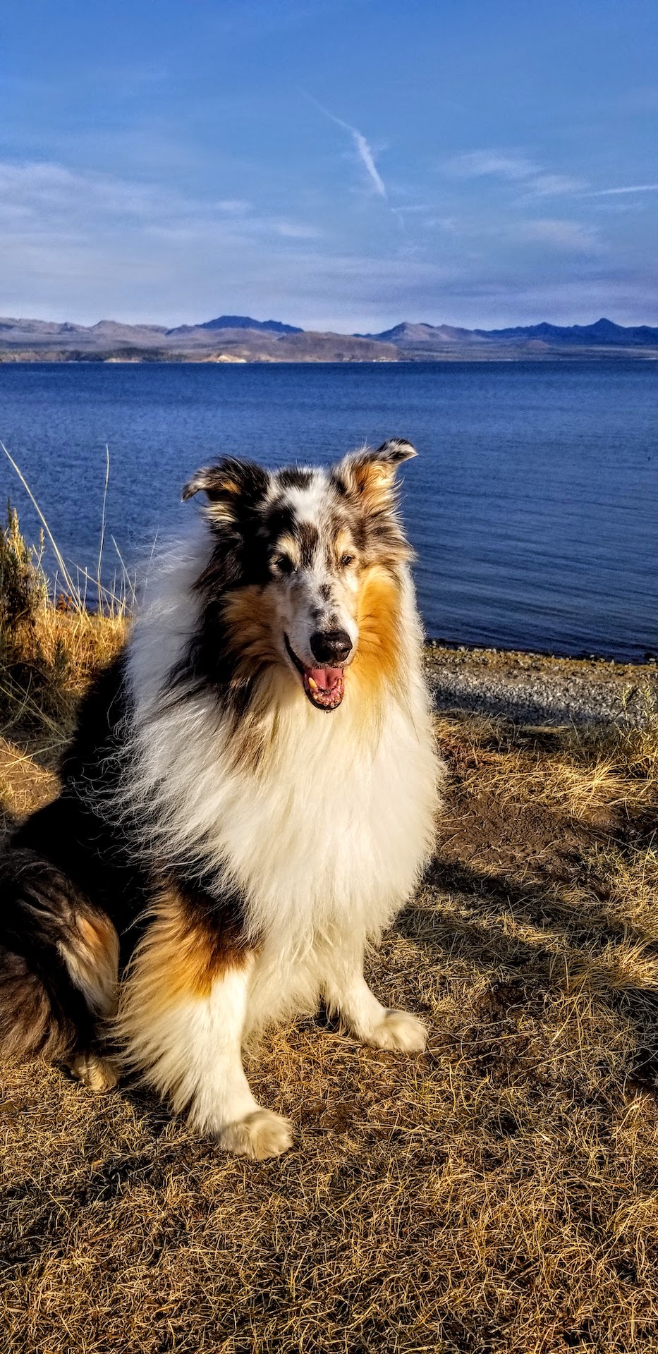 20201001_172318.jpg