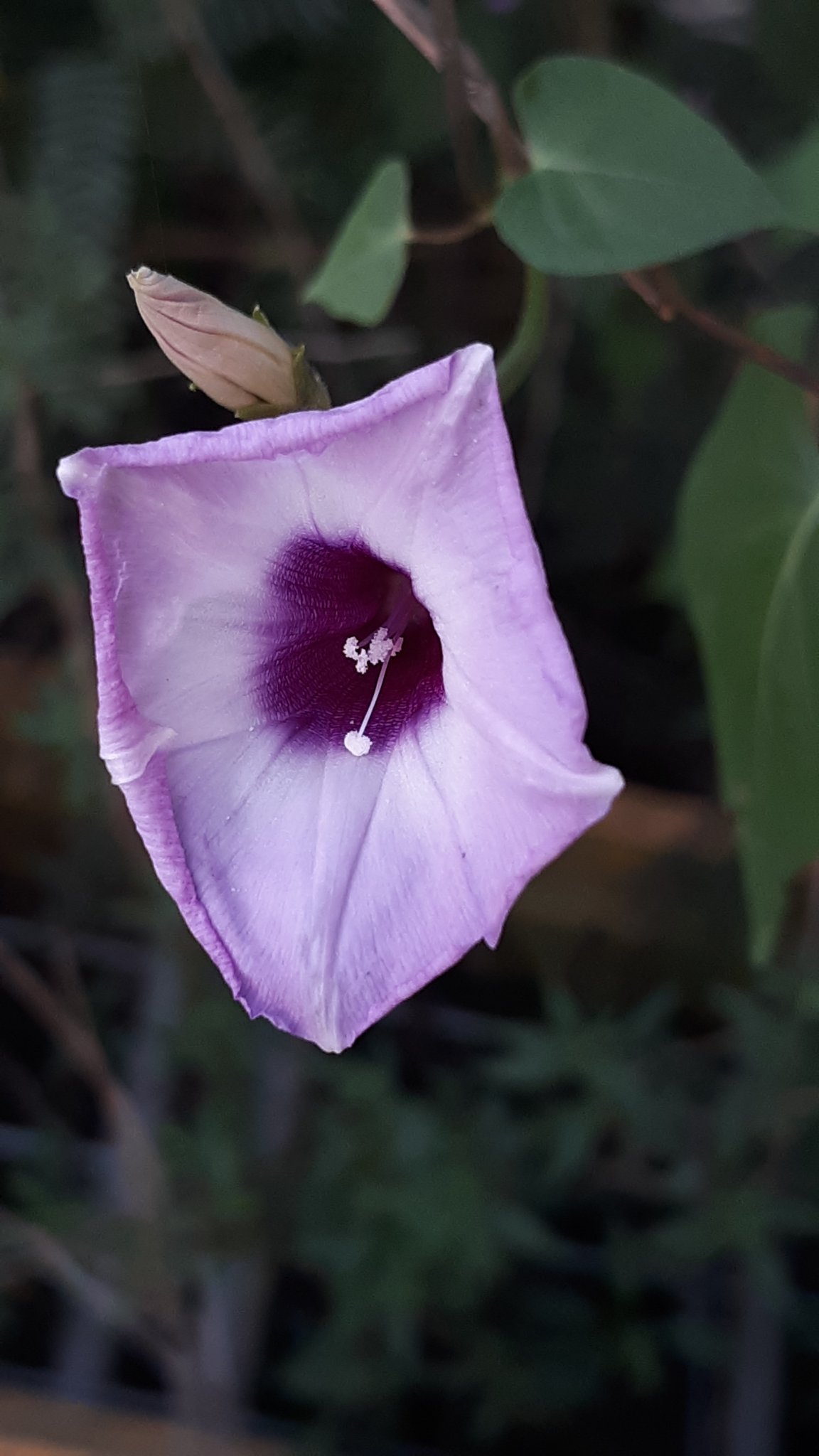 20201001_181939.jpg