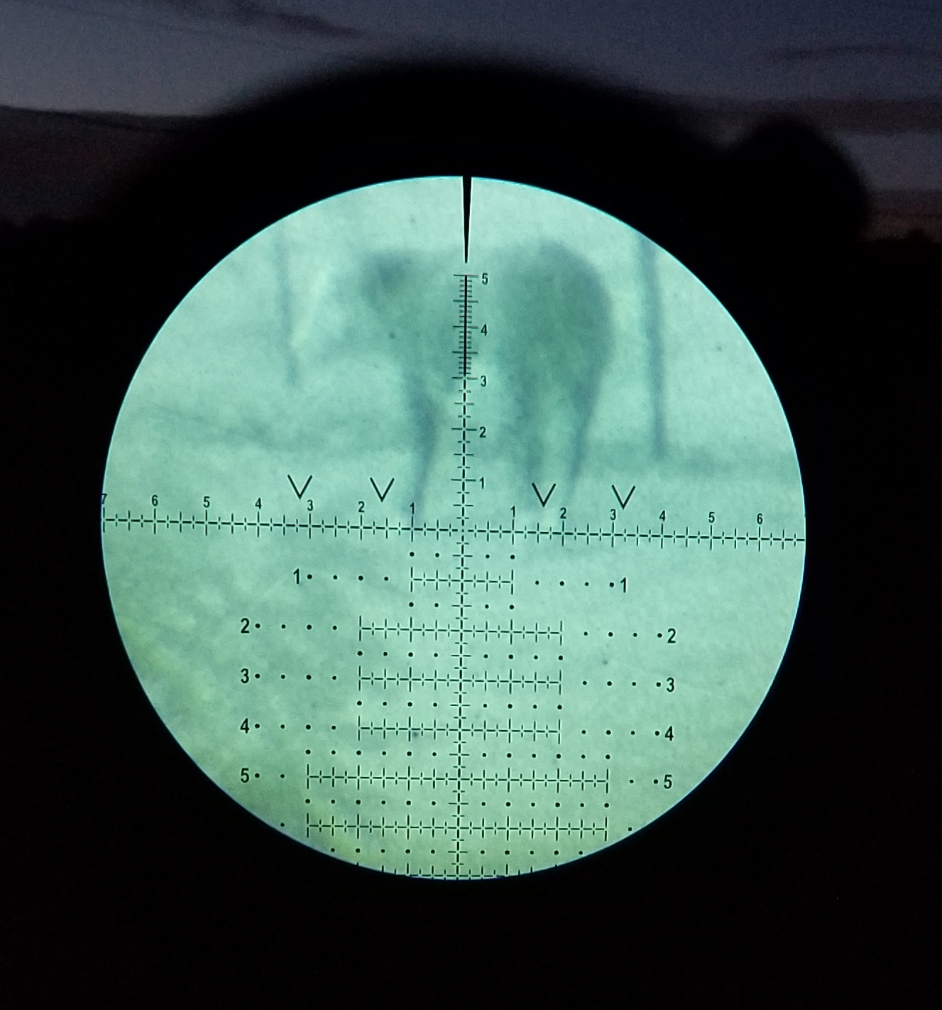 20201001_194355.jpg