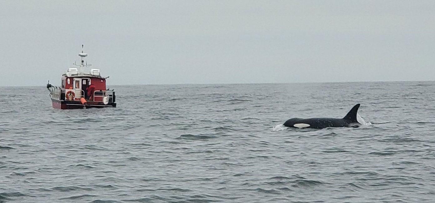 20201003_192544.jpg