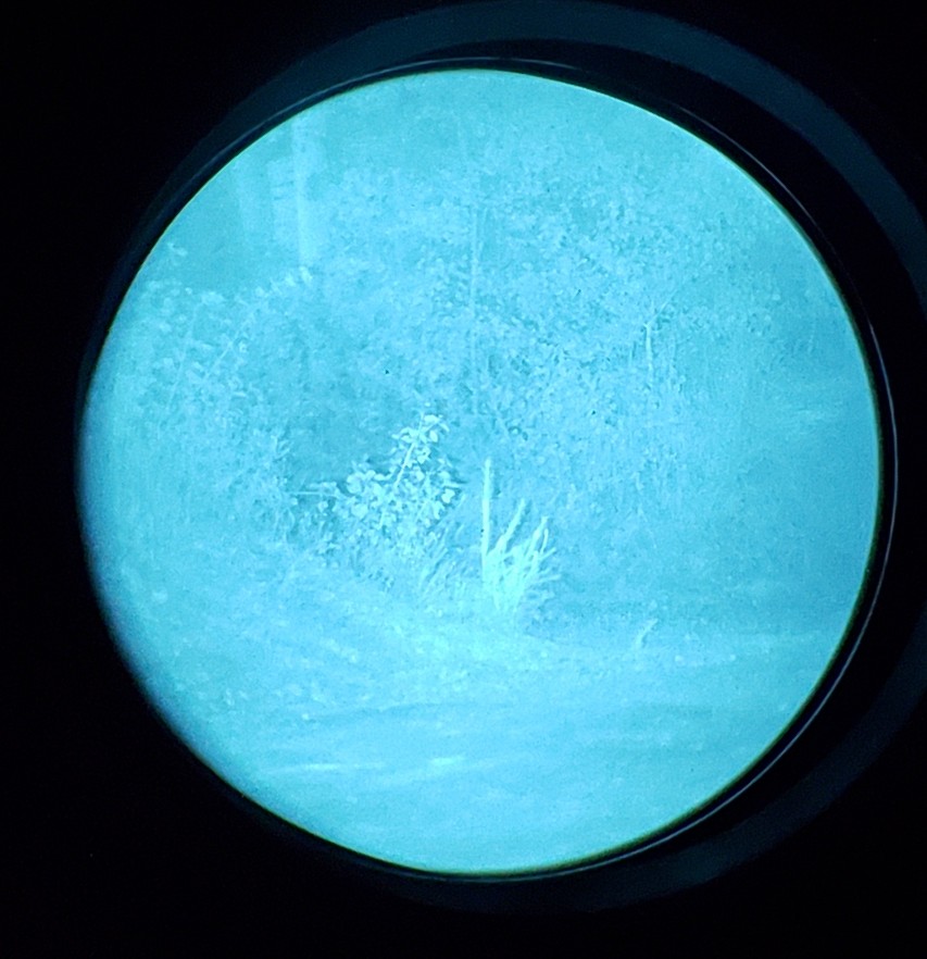 20201004_191050.jpg