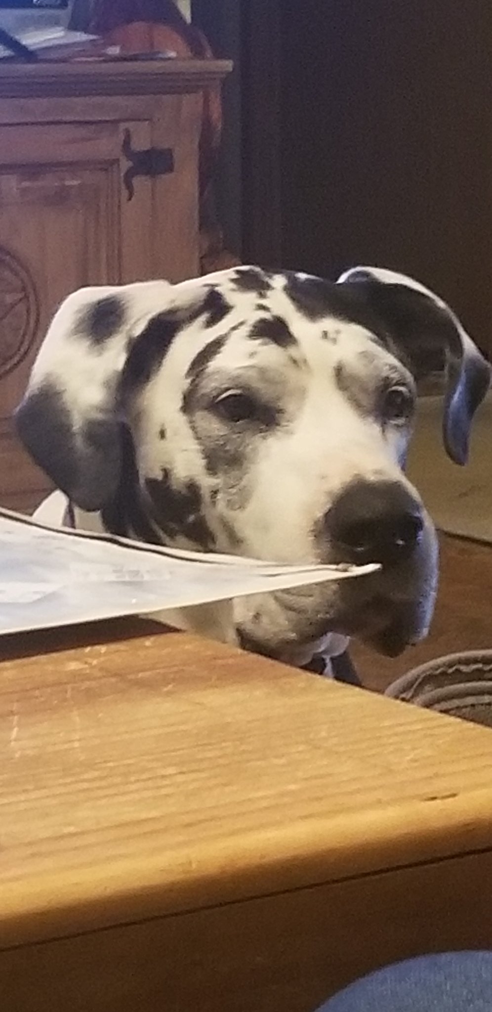 20201005_190159.jpg