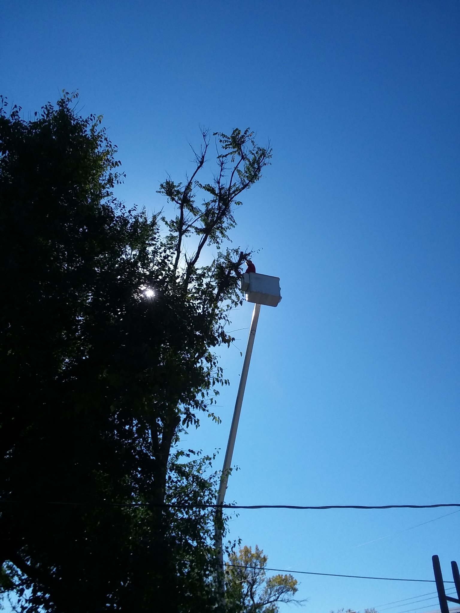 20201007_142434.jpg
