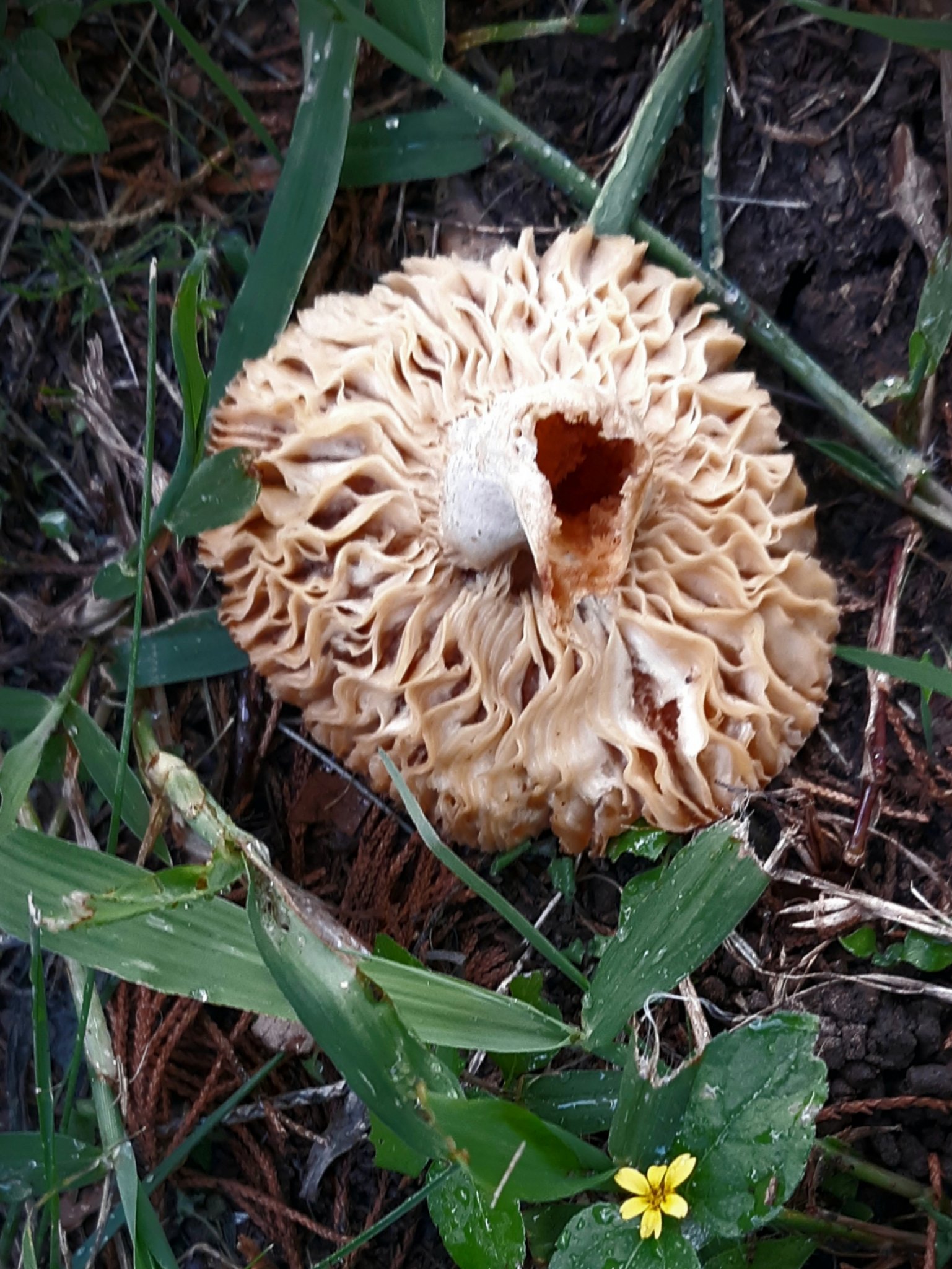 20201010_225843.jpg