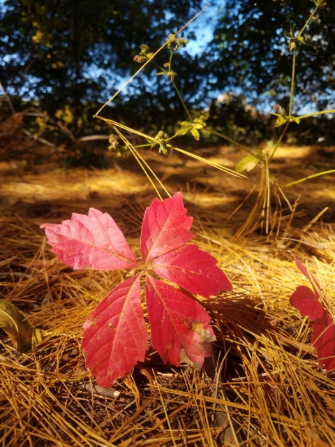 20201017_130911.jpg