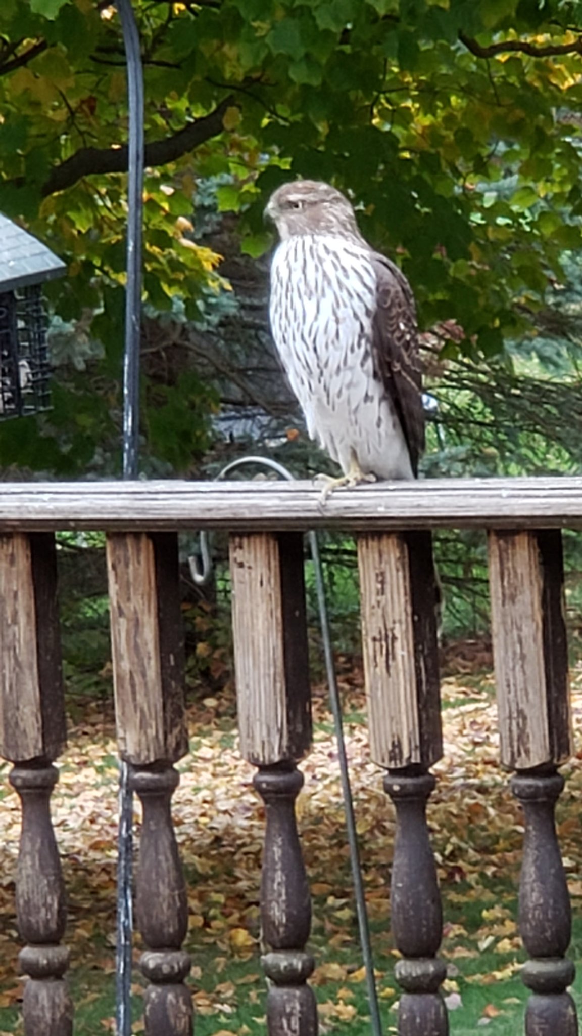 20201018_123012.jpg