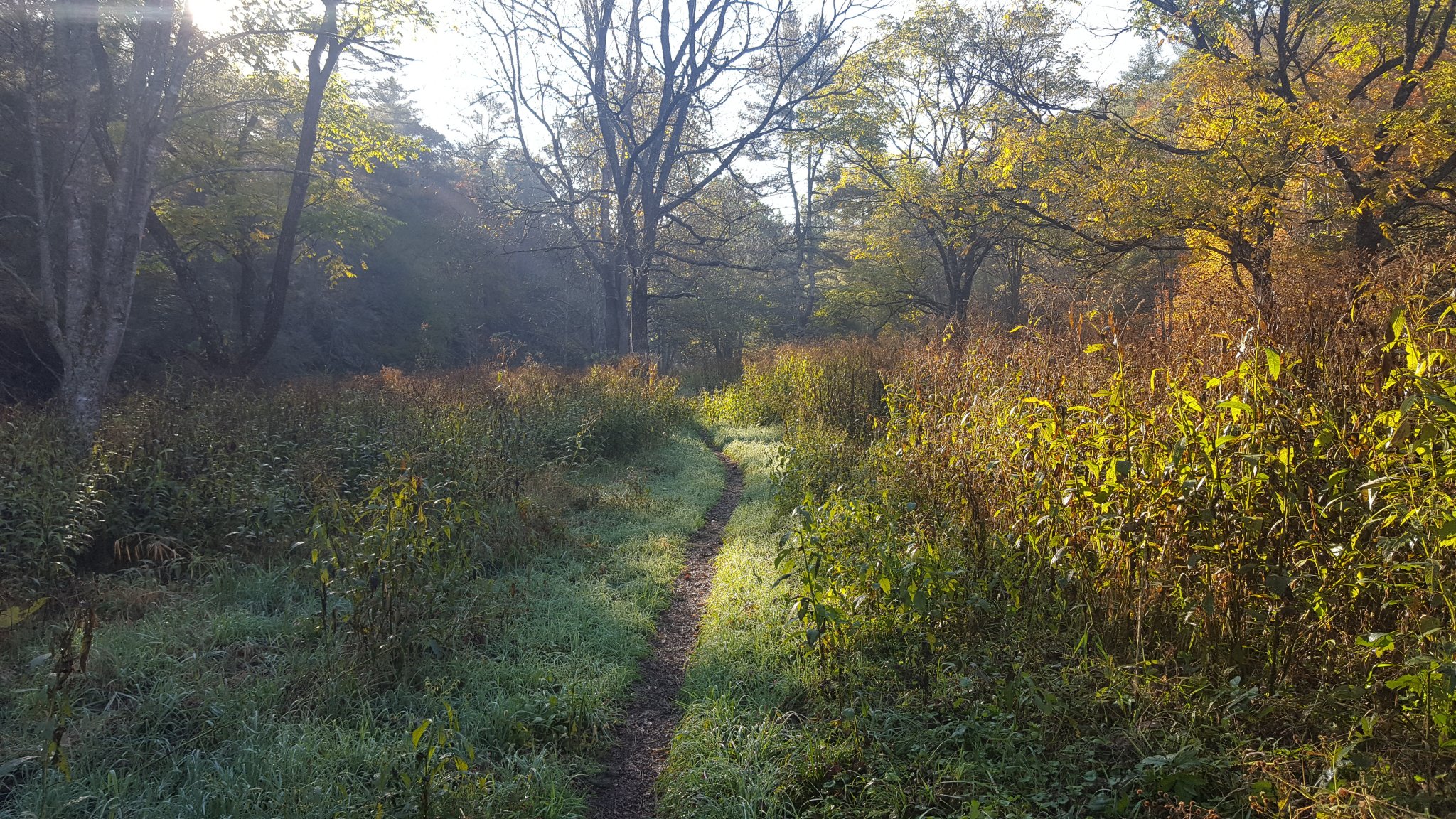 20201020_090807.jpg