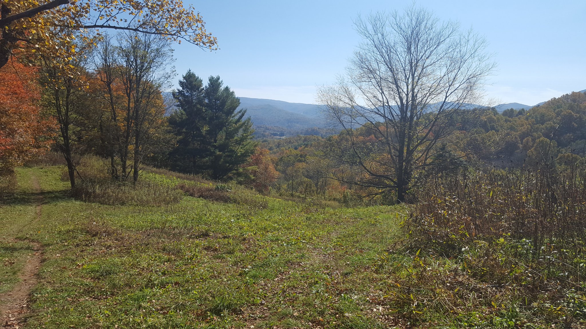20201020_123511.jpg