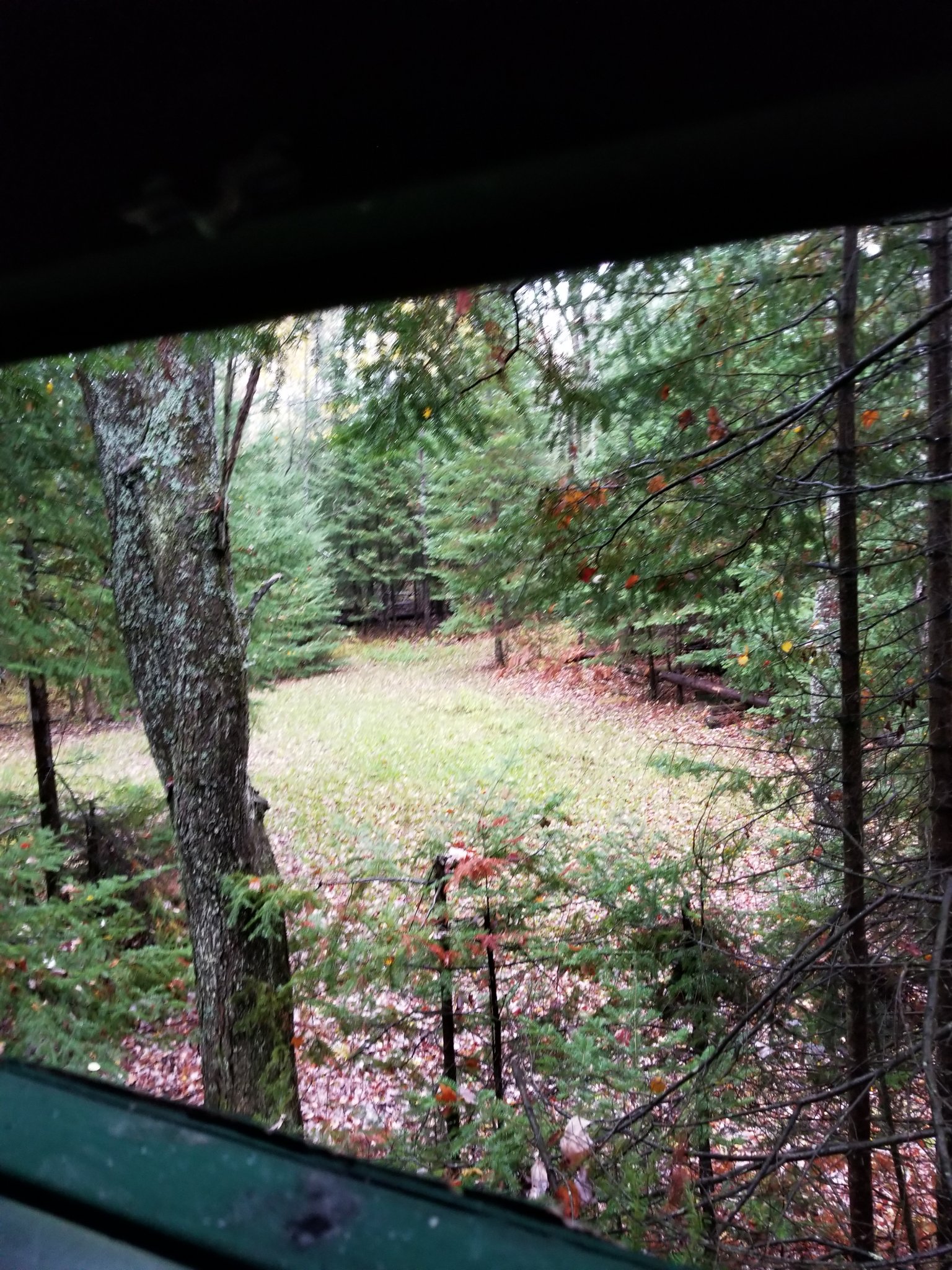 20201023_172653.jpg