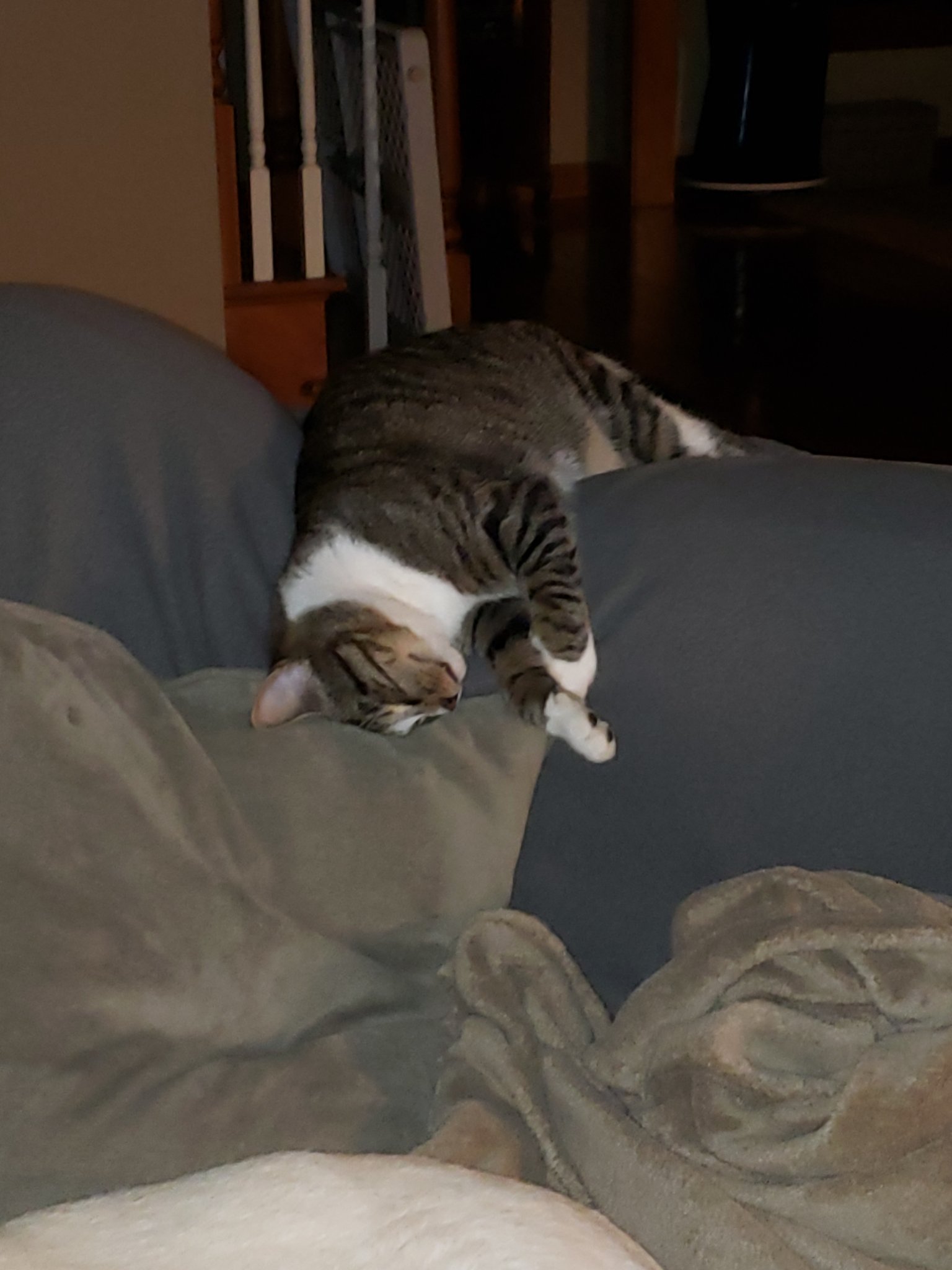 20201025_195722.jpg