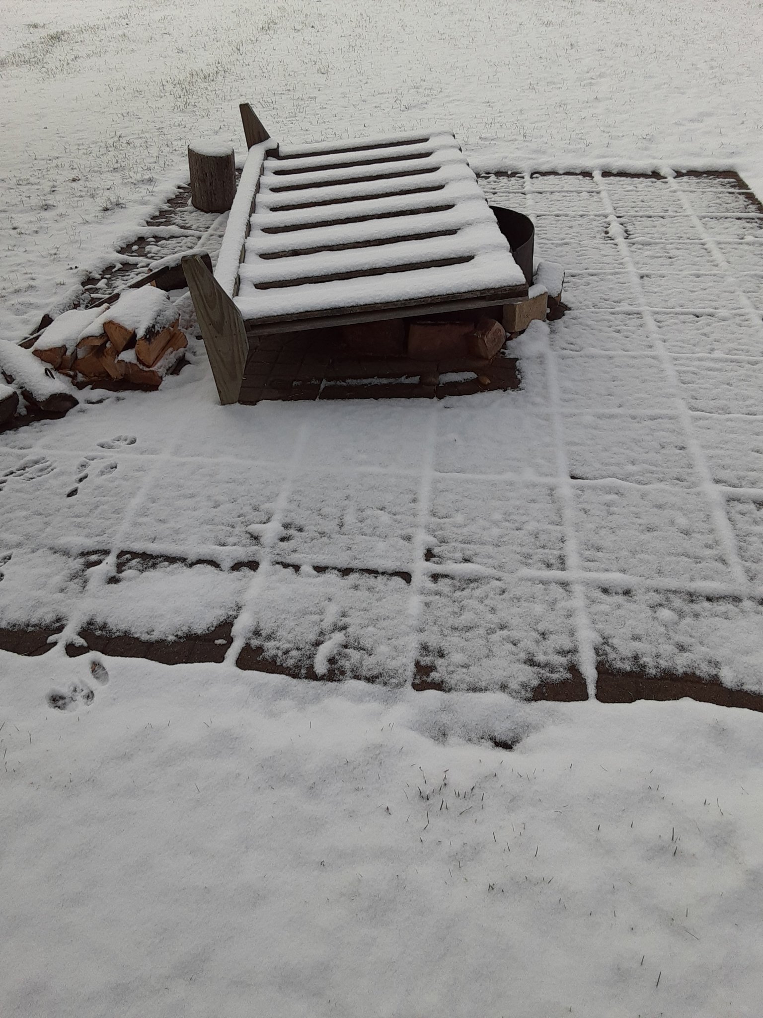 20201030_102811.jpg