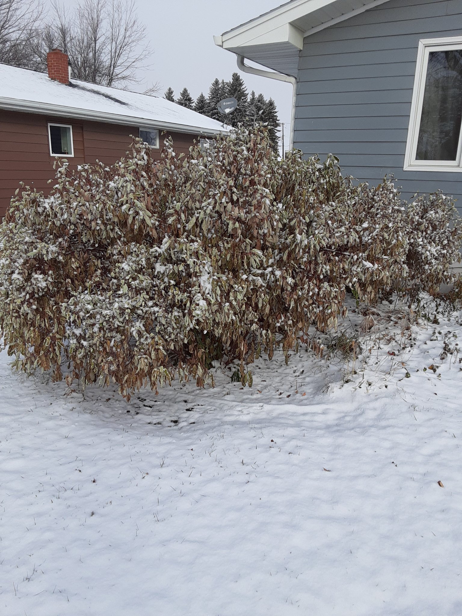 20201030_102844.jpg