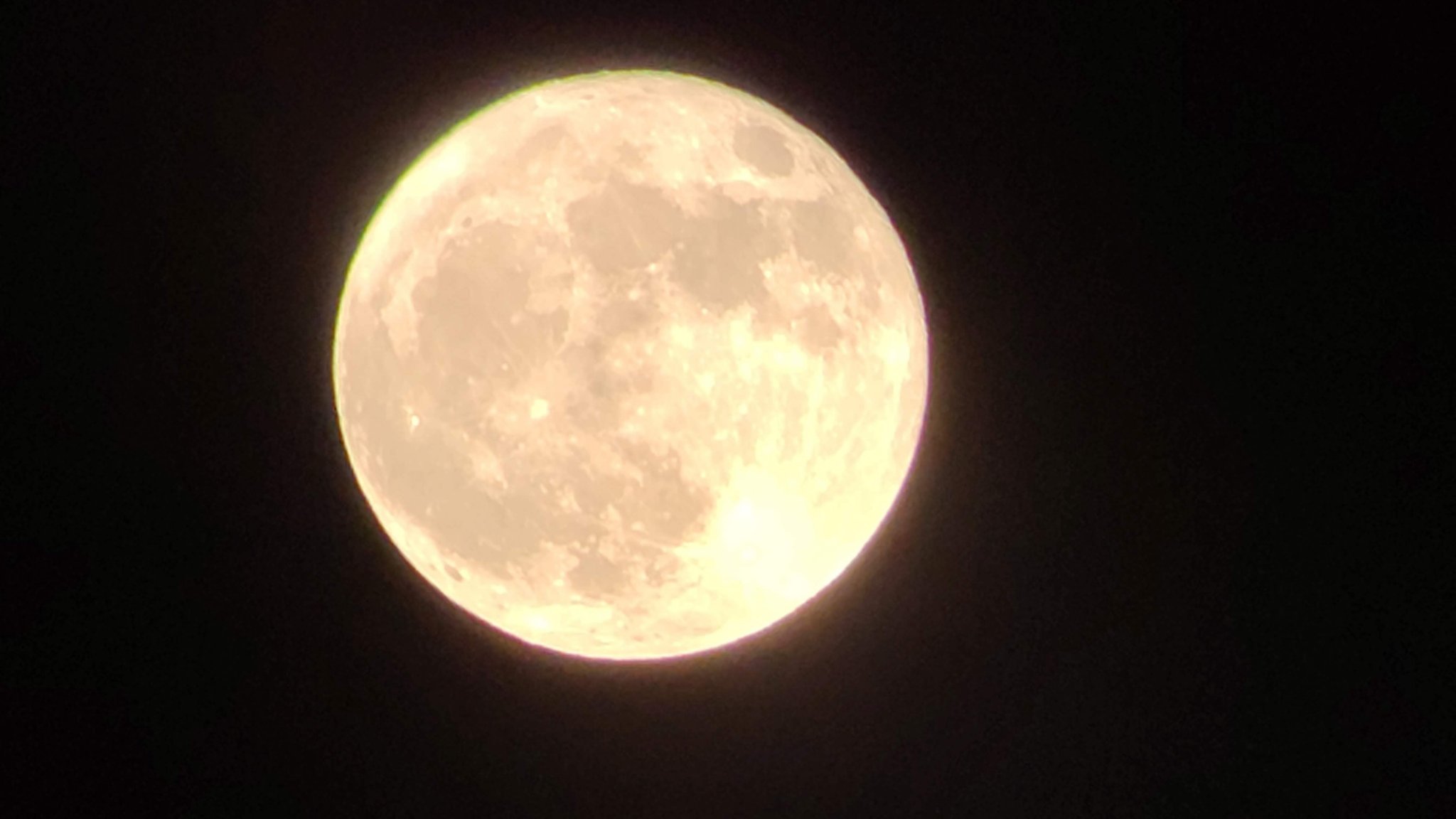 20201031_193135.jpg