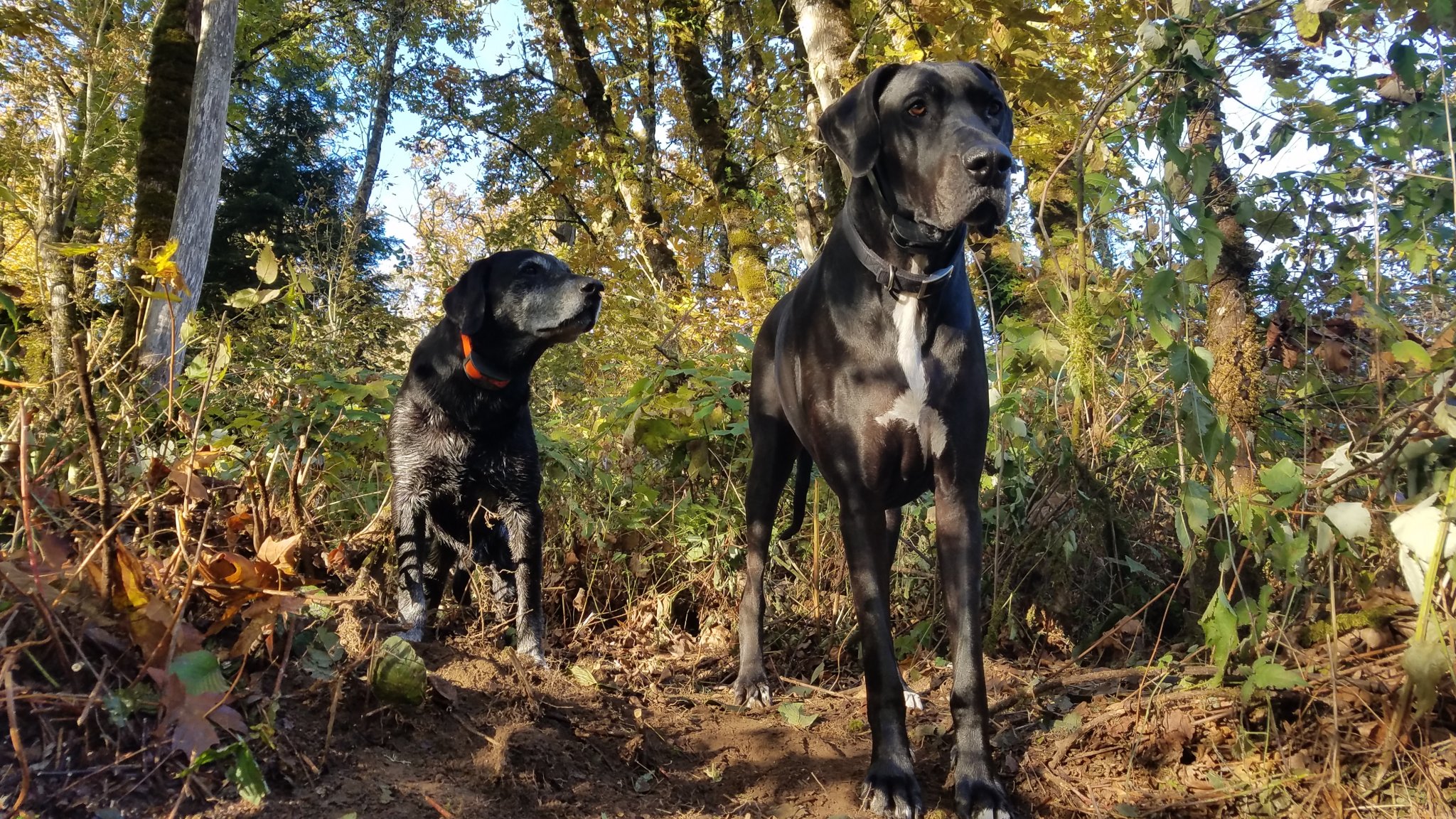 20201103_084159.jpg