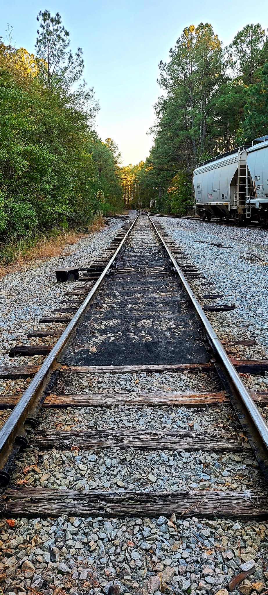 20201103_163738.jpg