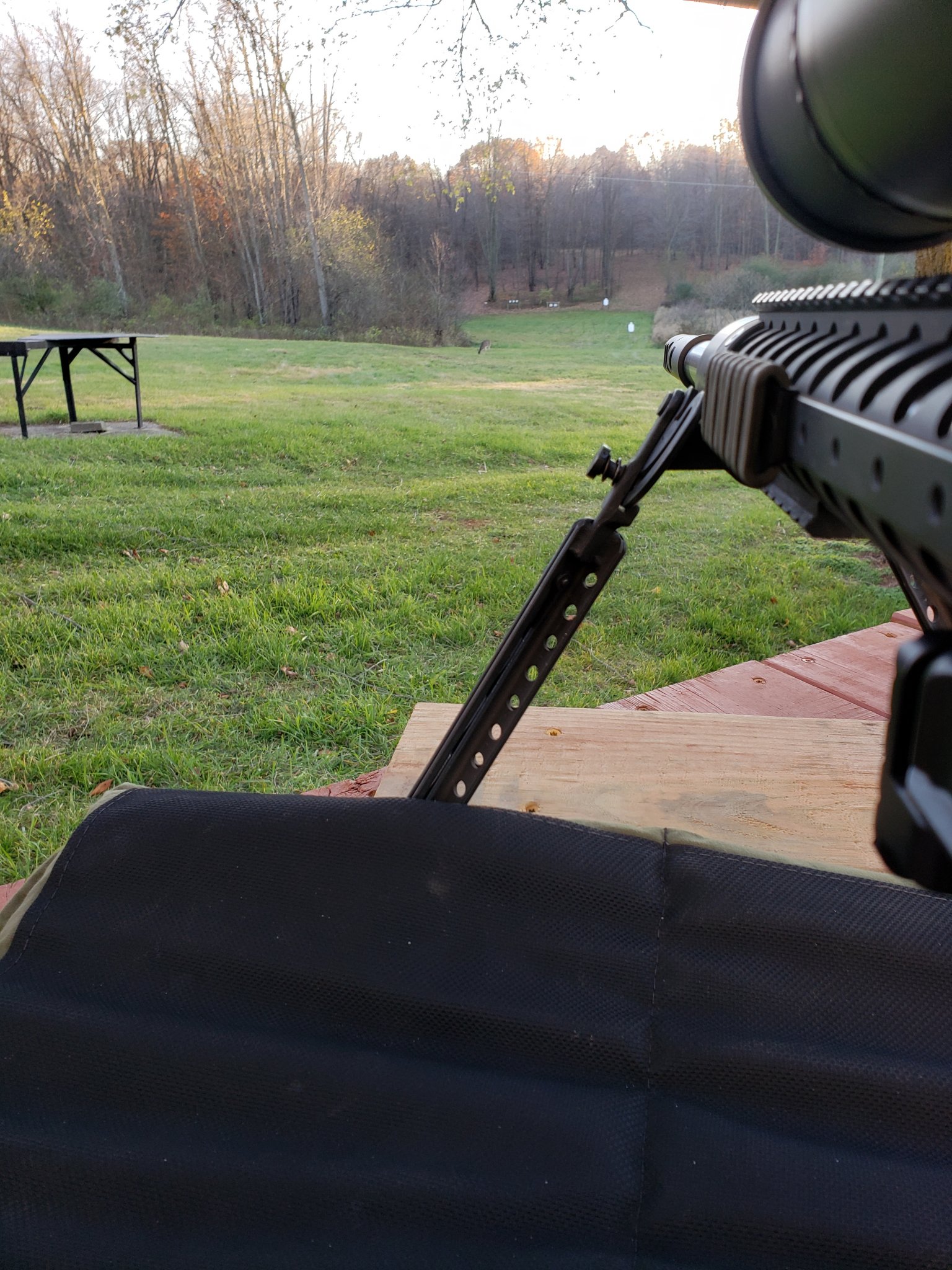 20201103_164953.jpg